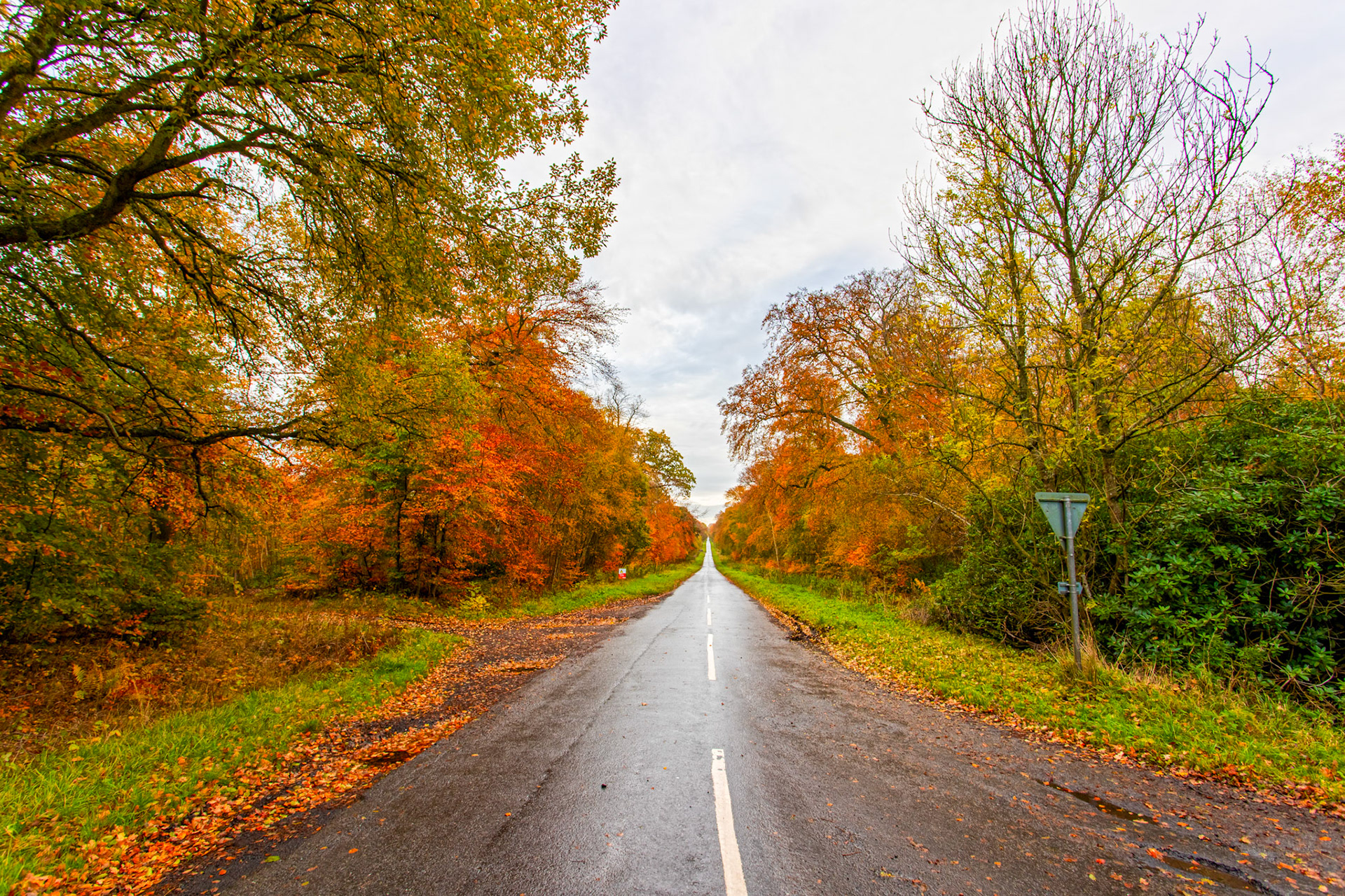 Near Smailholm 27 October 2022