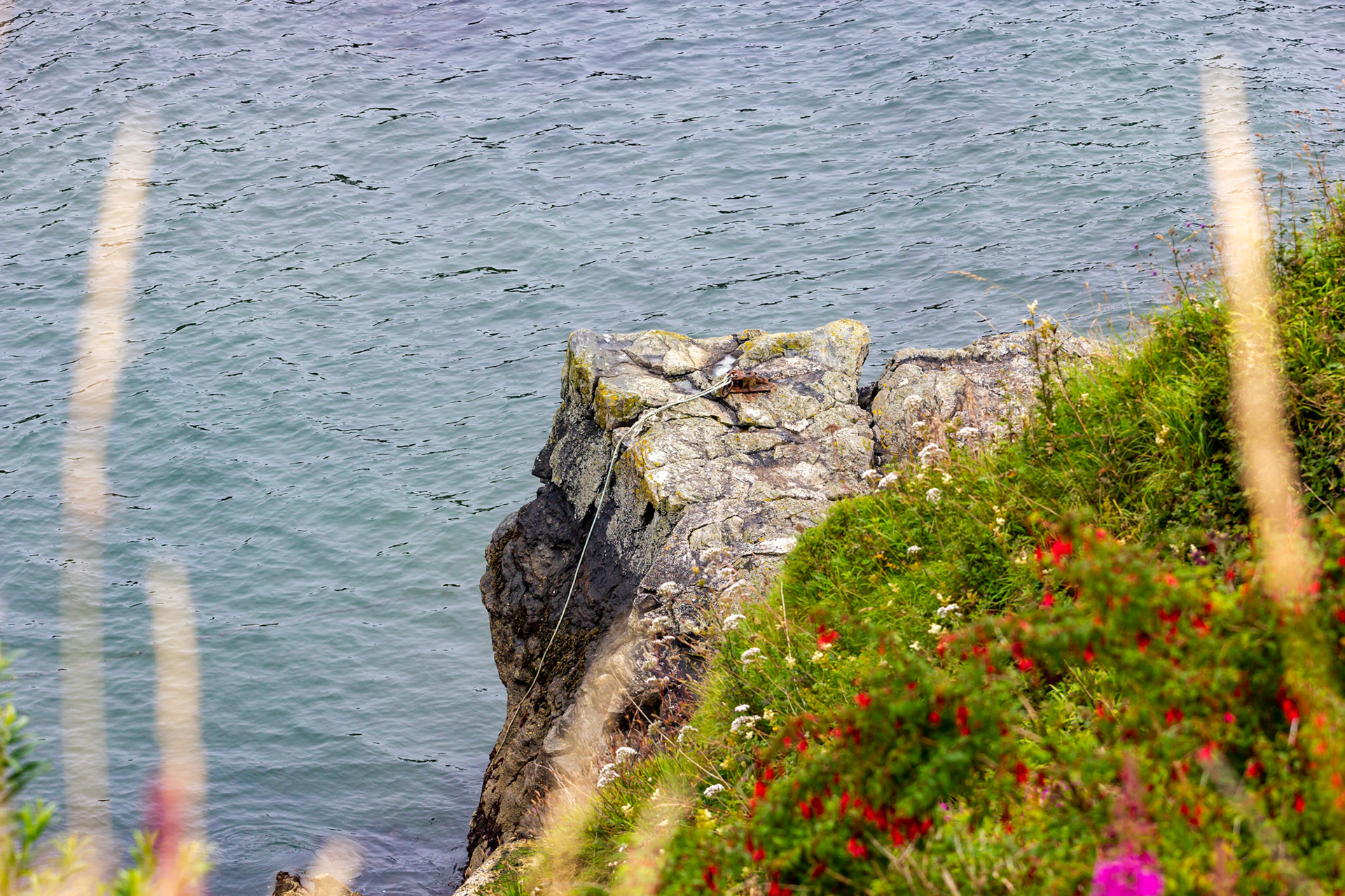 Newtonhill Harbour Please see my other photos at JamesPDeans.co.uk