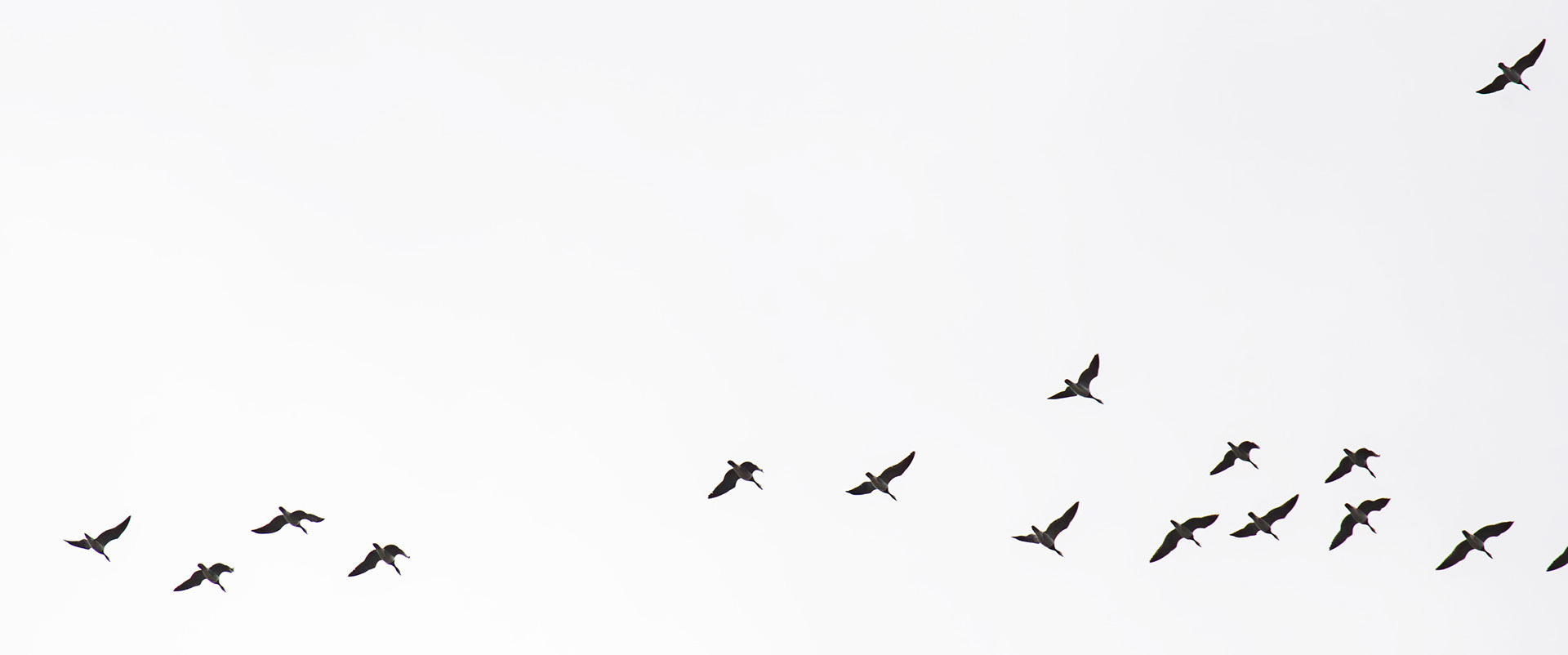 Bavelaw 24 Sept 2025