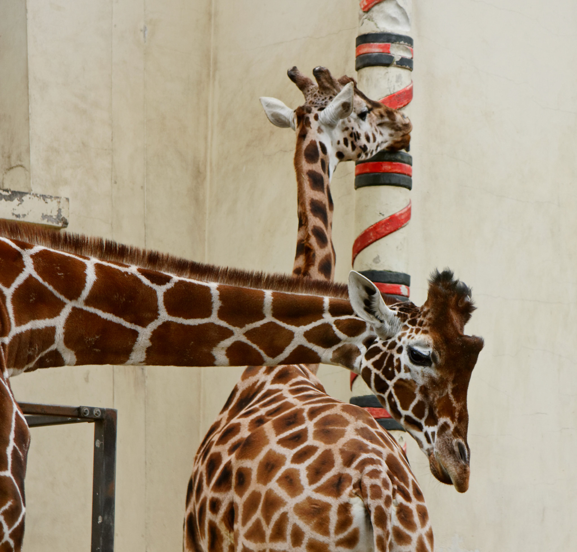 AntwerpPlease see my other Photographs at: http://www.jamespdeans.co.uk/