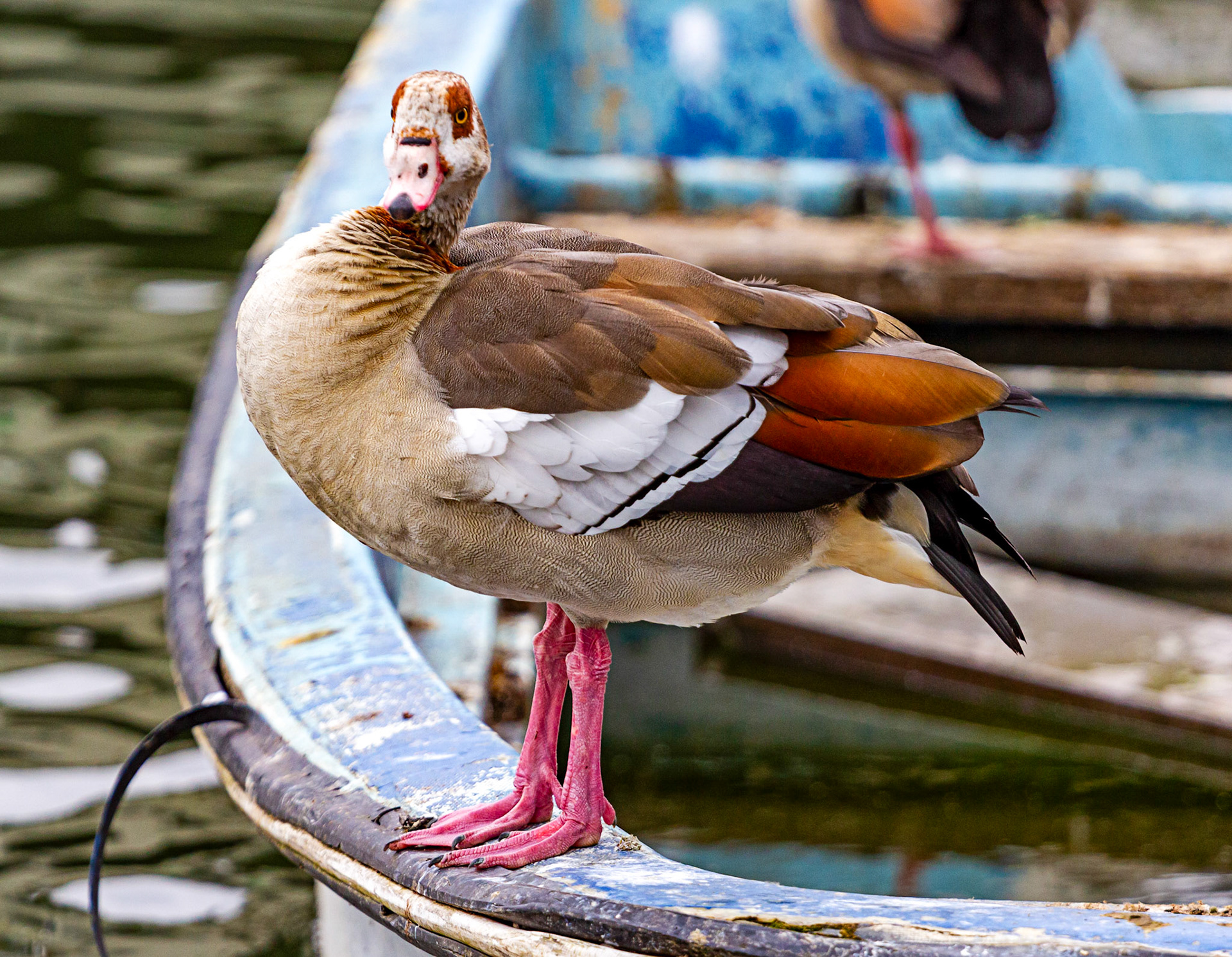 Reading 07 June 2024