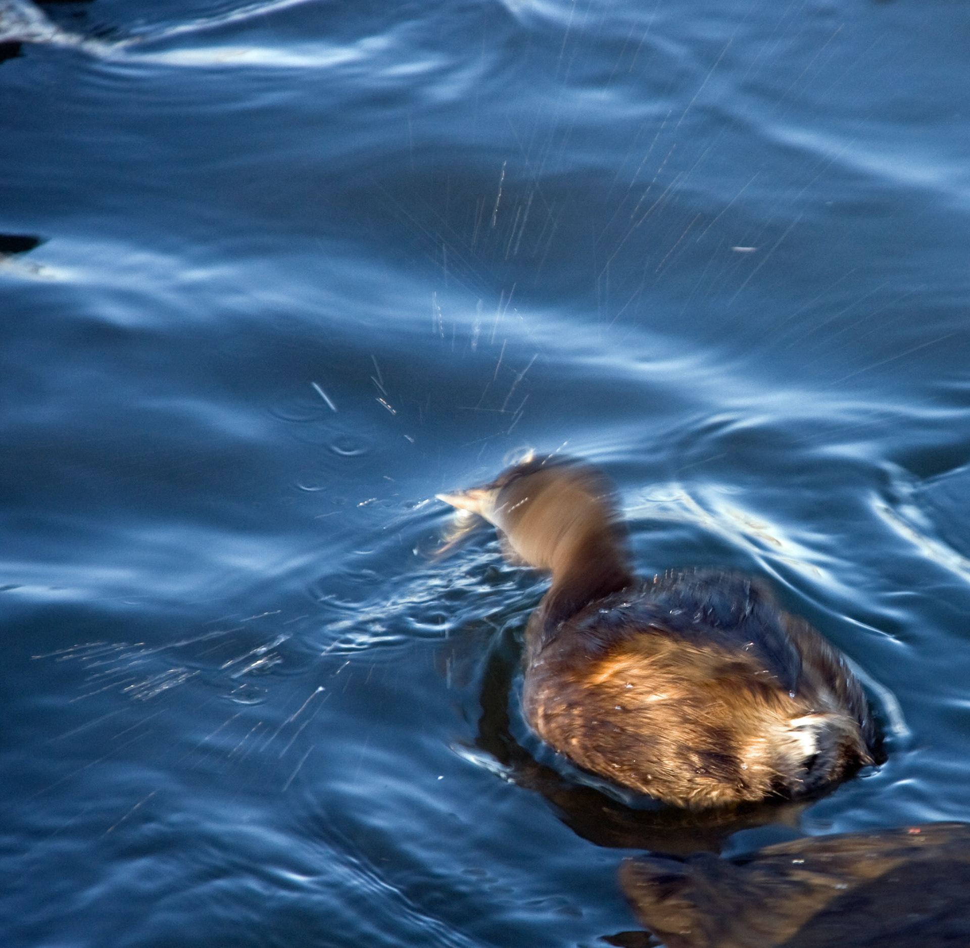 LinlithgowPlease see my other Photographs at: http://www.jamespdeans.co.uk/