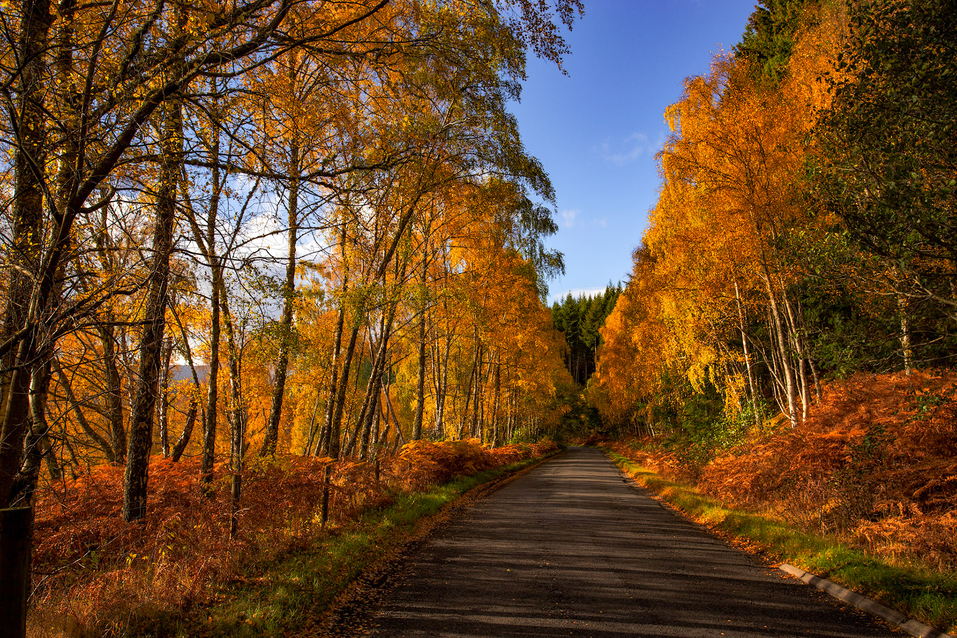 Loch Tummel. Autumnal Tour around Perthshire 19 October 2024