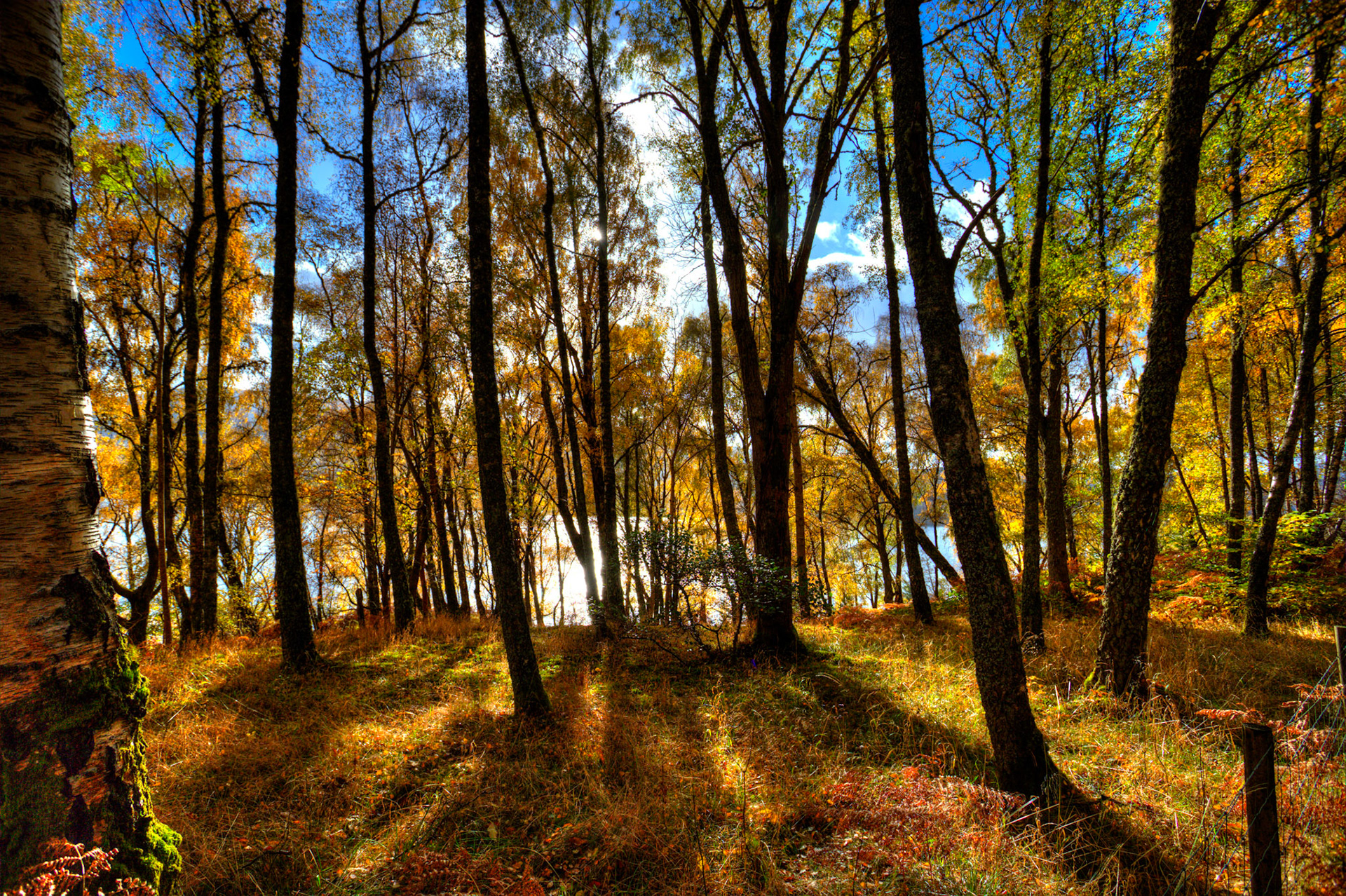 Loch Tummel. Autumnal Tour around Perthshire 19 October 2024