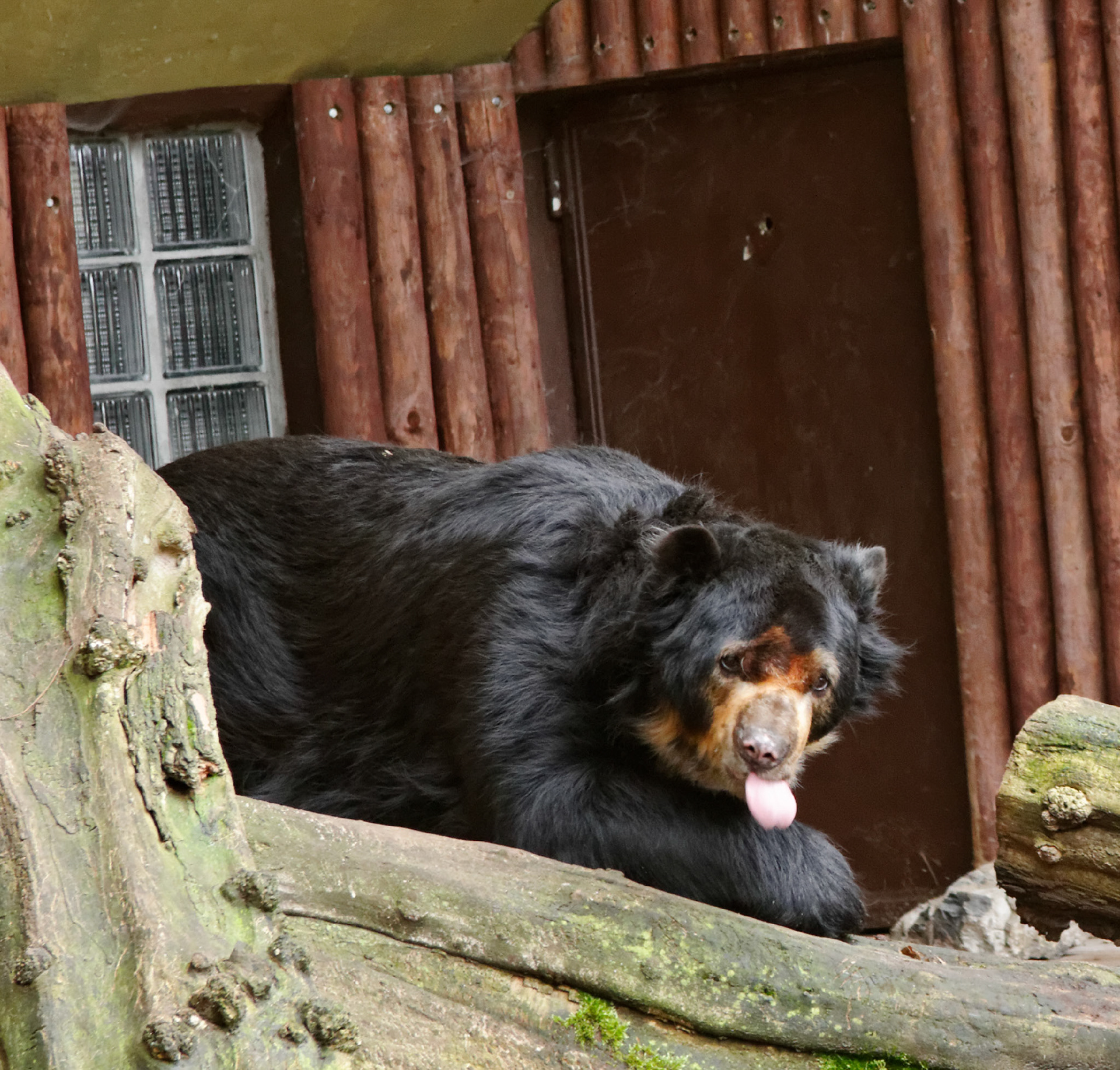 AntwerpPlease see my other Photographs at: http://www.jamespdeans.co.uk/