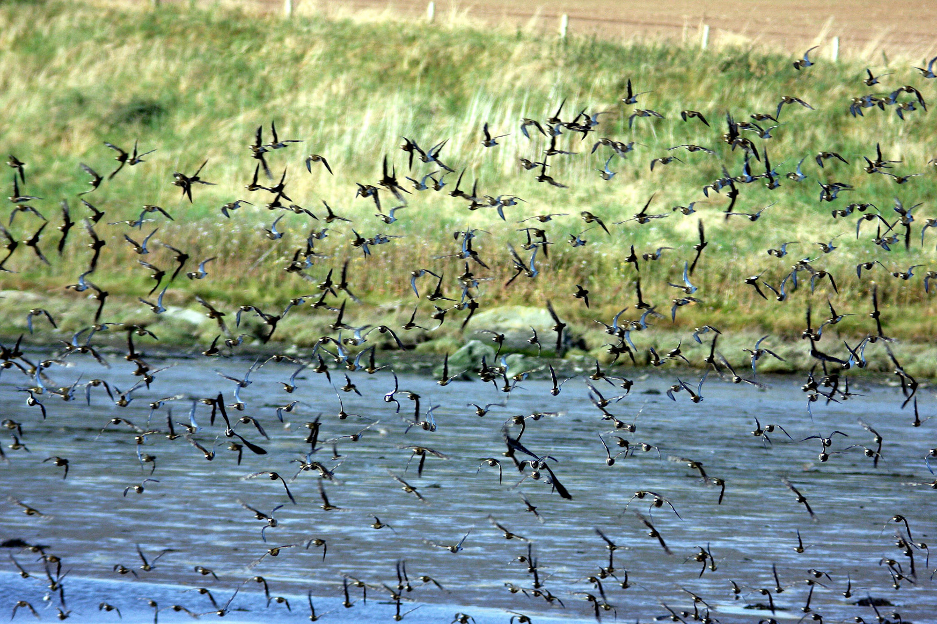 YthanPlease see my other Photographs at: http://www.jamespdeans.co.uk/