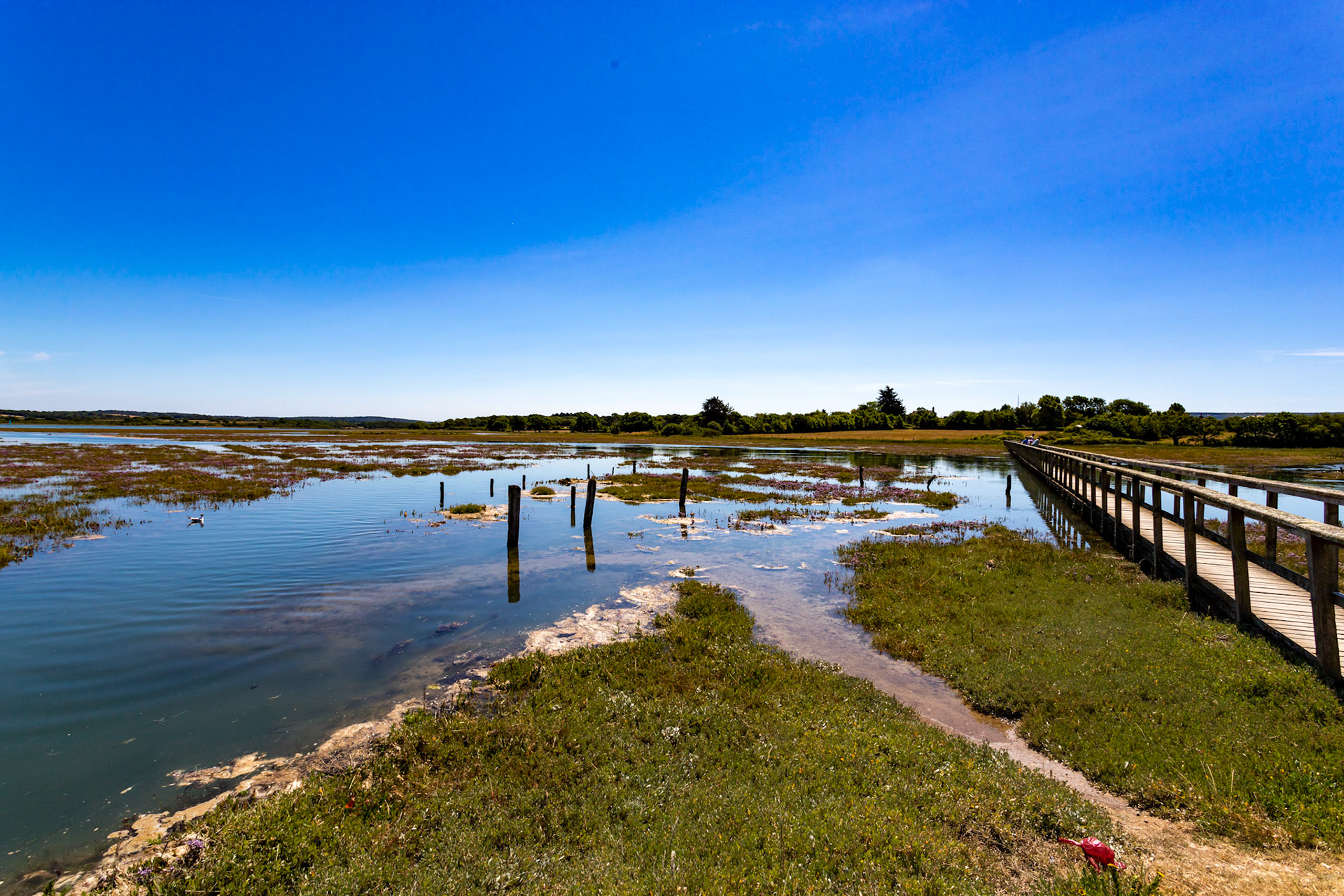 Newtown IOW 14 July 2022