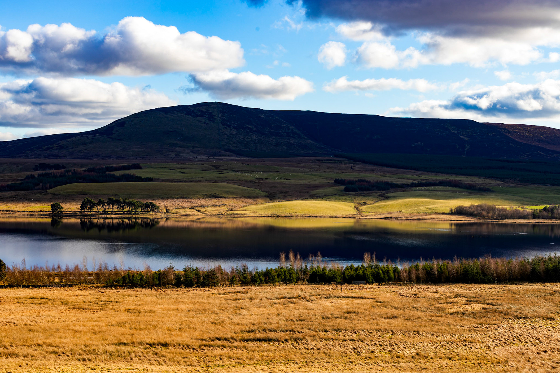Harperrig Reservoir 26 Feb 2024