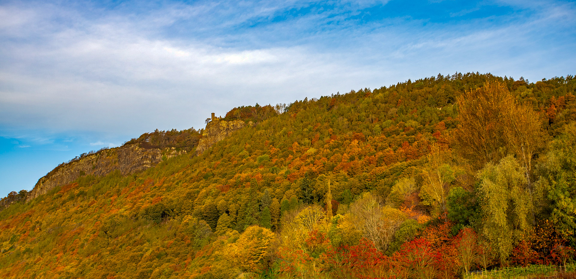 Walnut Grove. Autumnal Tour around Perthshire 19 October 2024