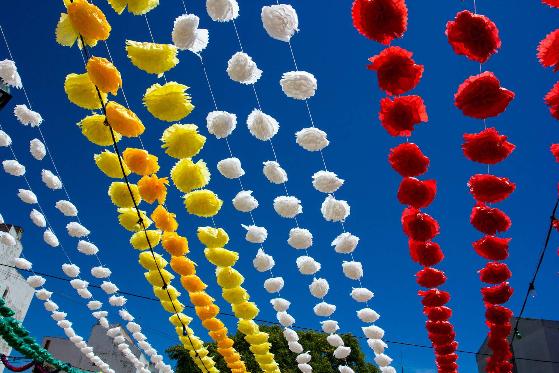 Church decorated for the feast of St Anthony.Please see my other Photographs at: www.jamespdeans.co.uk