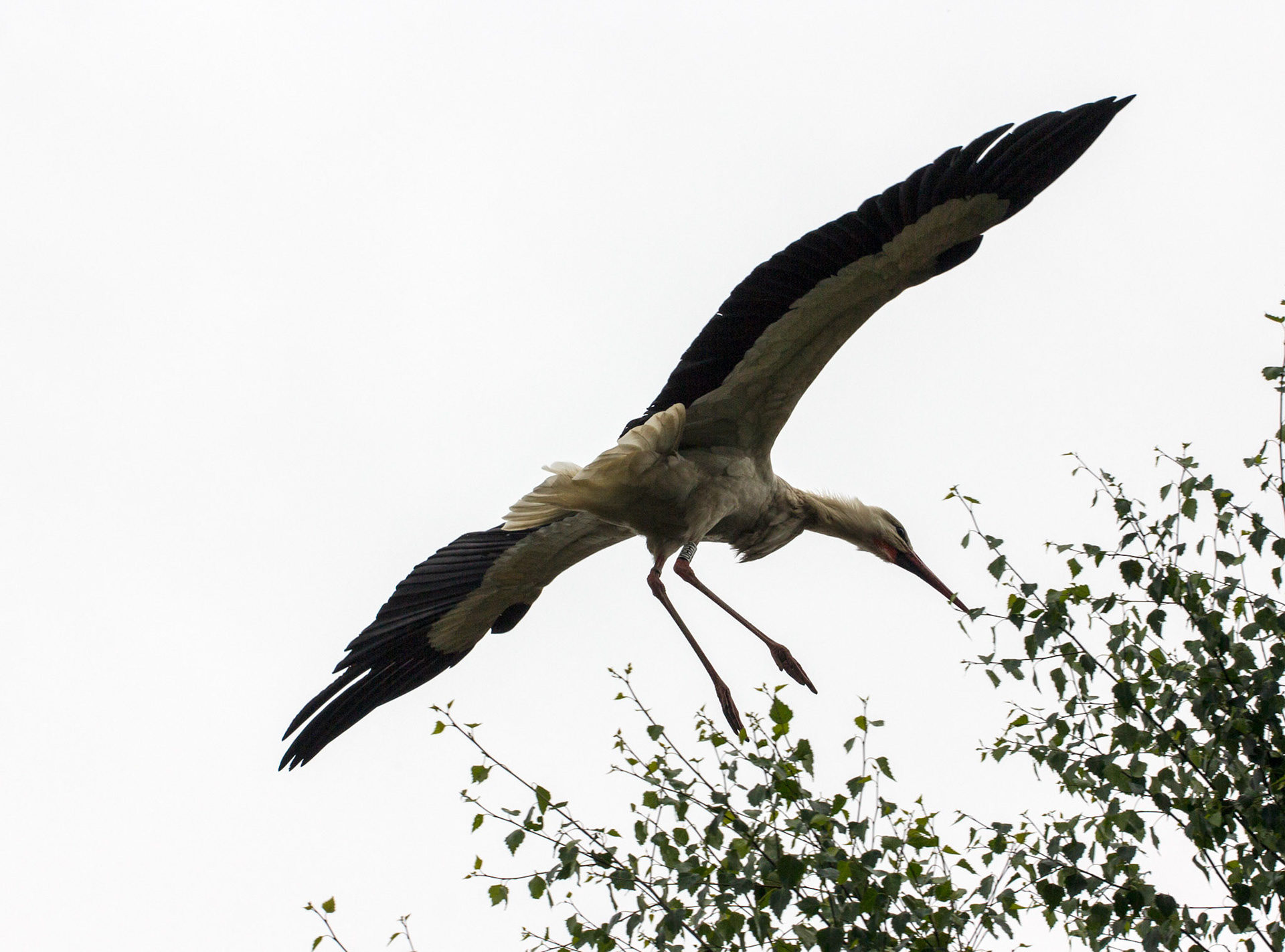 CernayPlease see my other Photographs at: http://www.jamespdeans.co.uk/