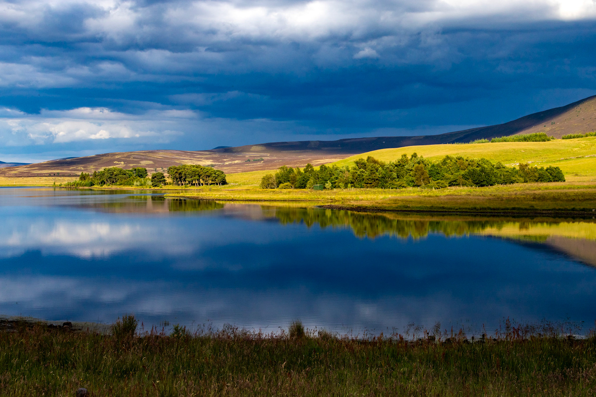 Harperrig 08 July 2024