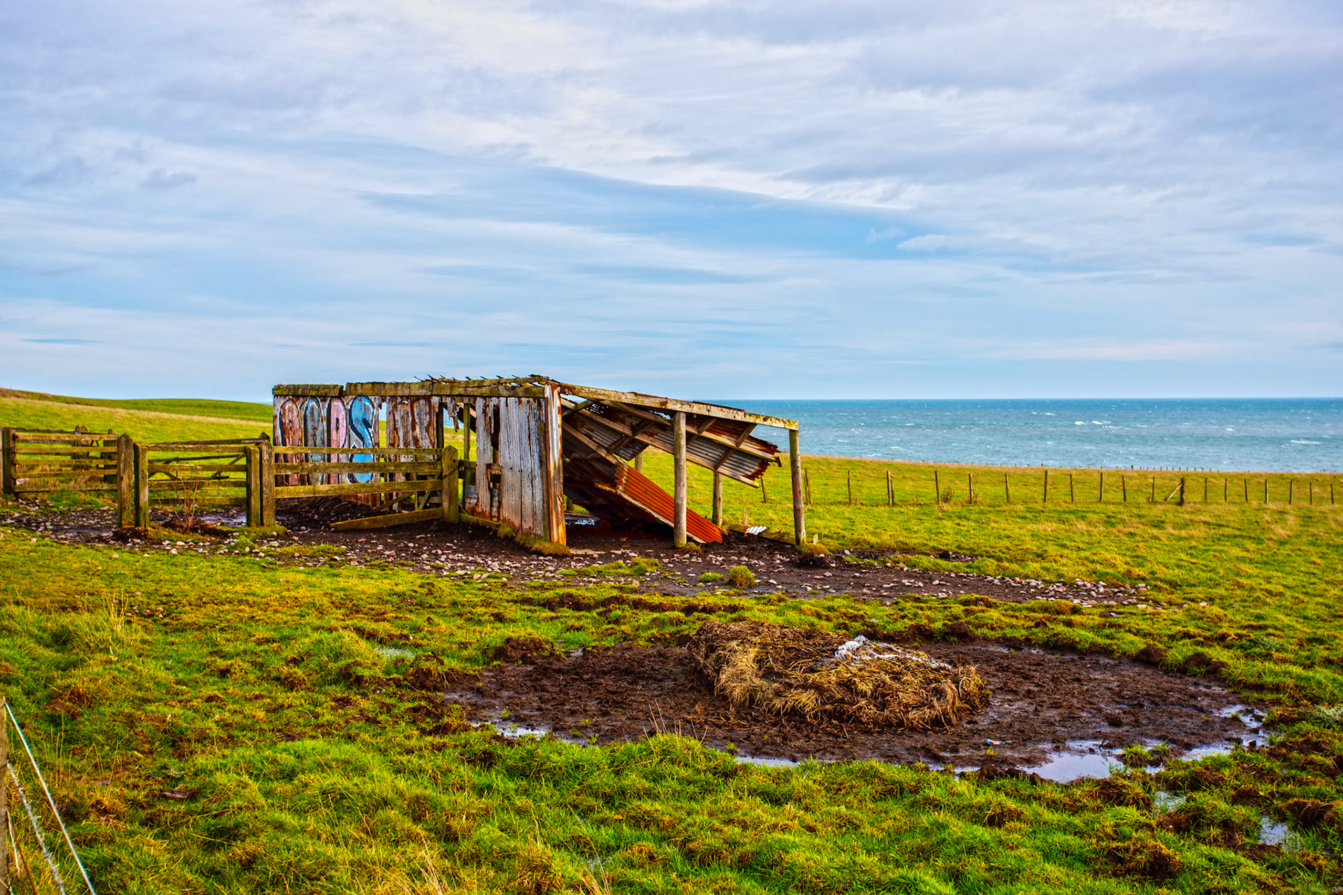 Doonies - Aberdeen 27 January 2024