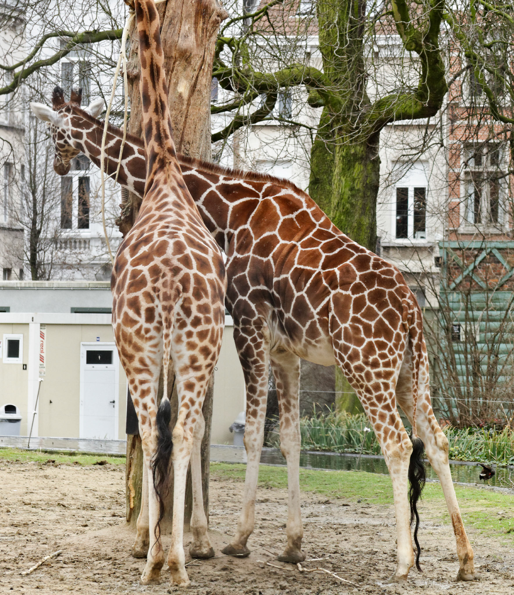 AntwerpPlease see my other Photographs at: http://www.jamespdeans.co.uk/