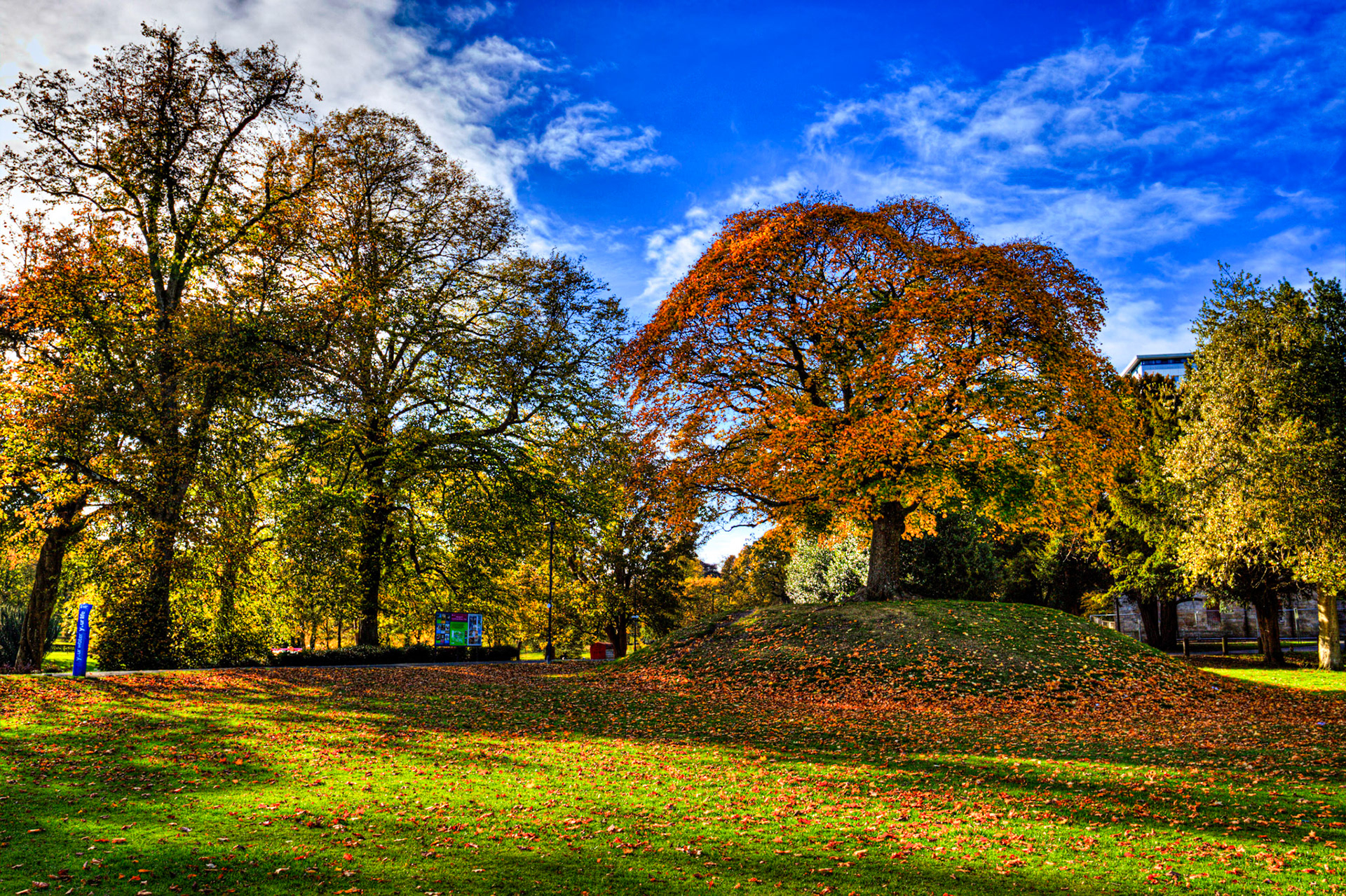 Callendar Park, Falkirk 11 October 2025