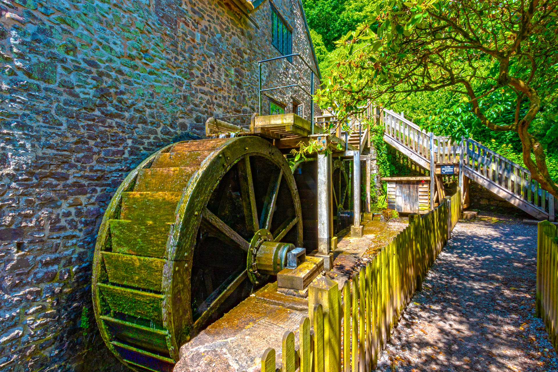 Dunster 22 June 2023