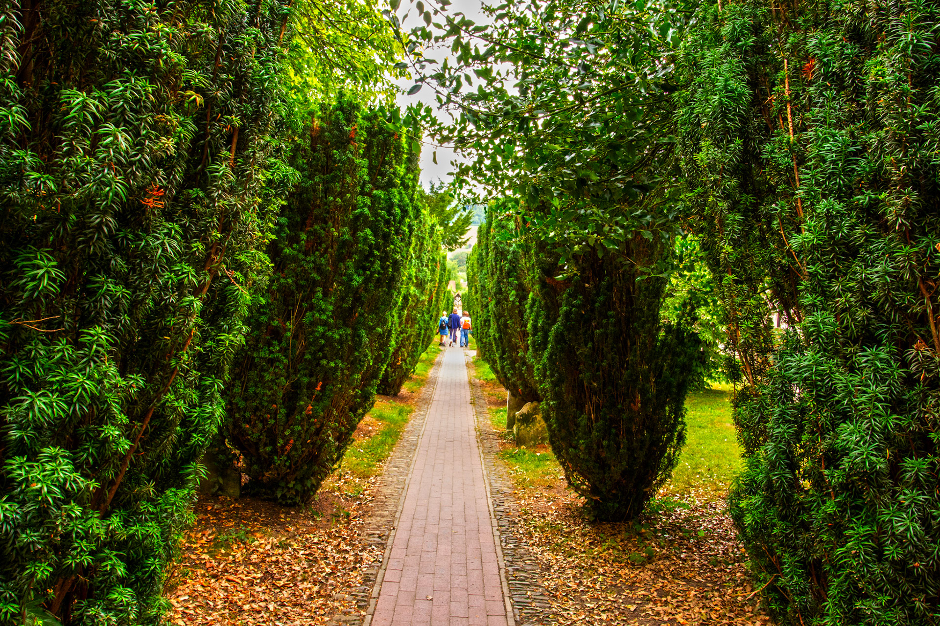 Shoreham, Kent 23 August 2025