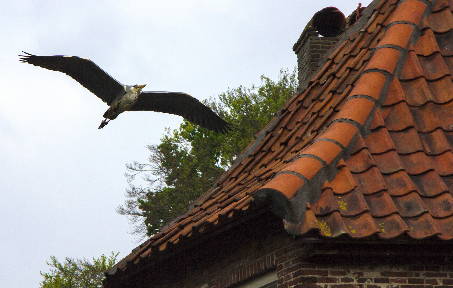 AmersfoortPlease see my other Photographs at: http://www.jamespdeans.co.uk/