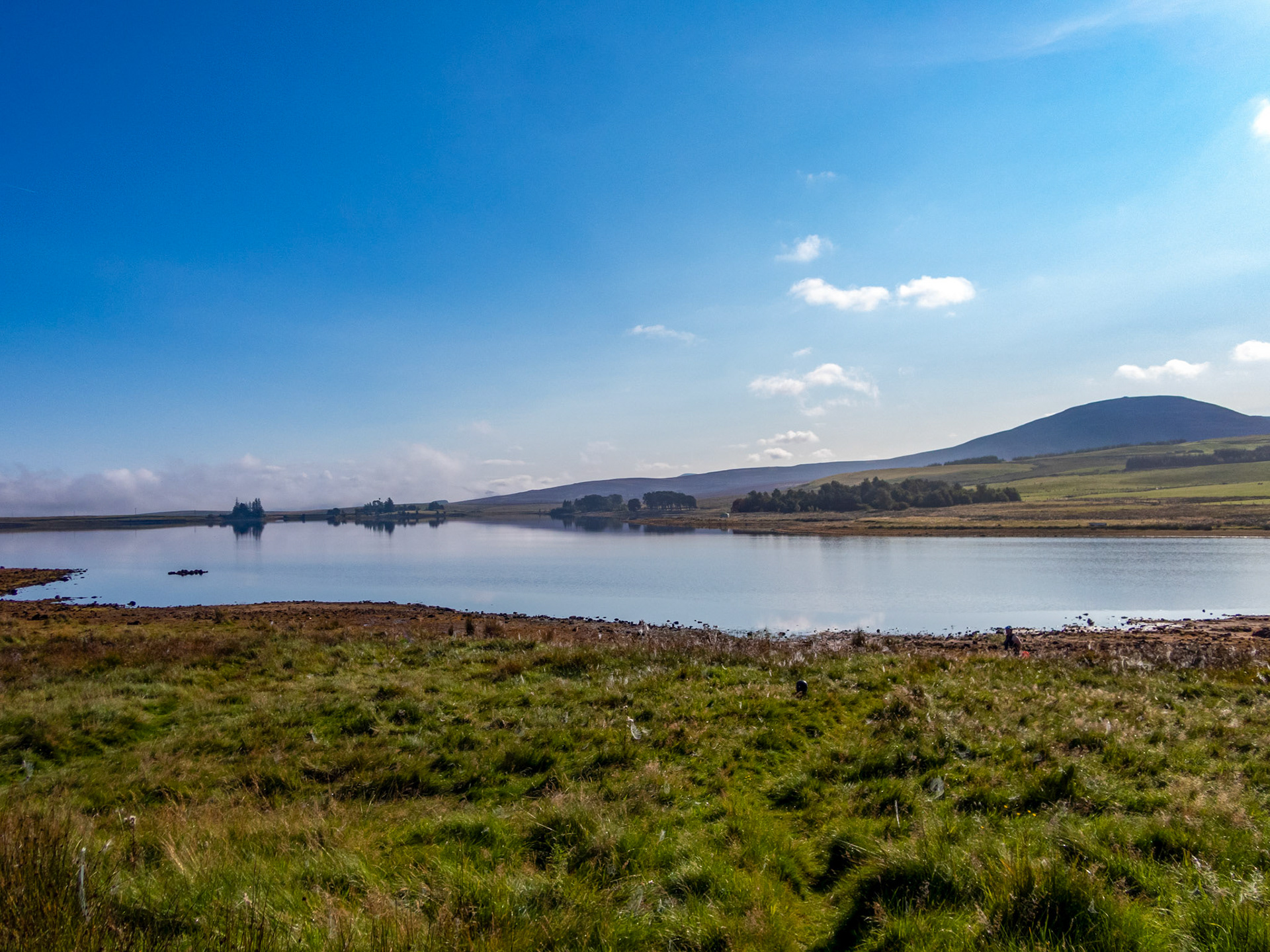 Harperrig 02 Septemer 2023