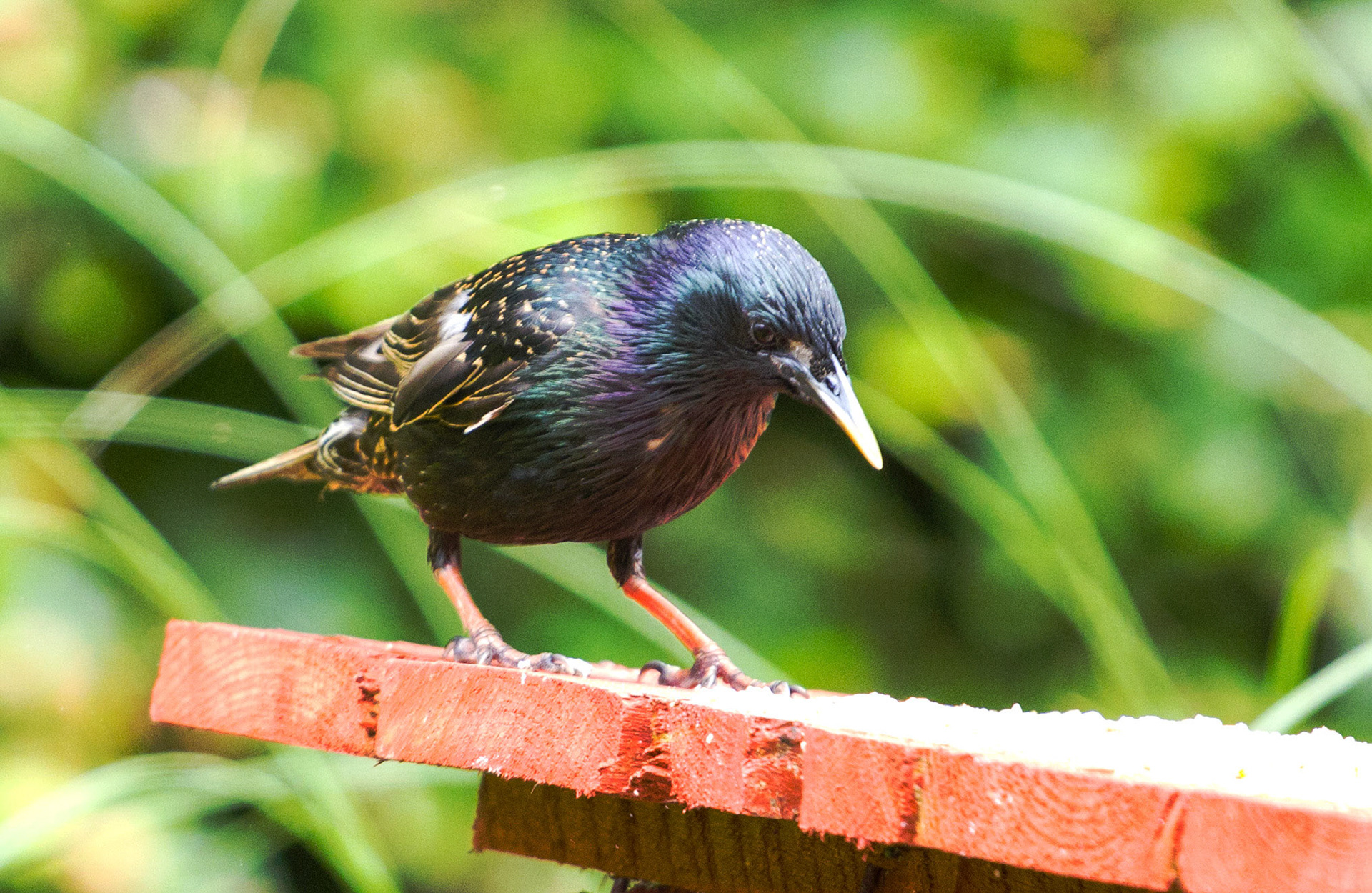 Deans, LivingstonPlease see my other Photographs at: http://www.jamespdeans.co.uk/