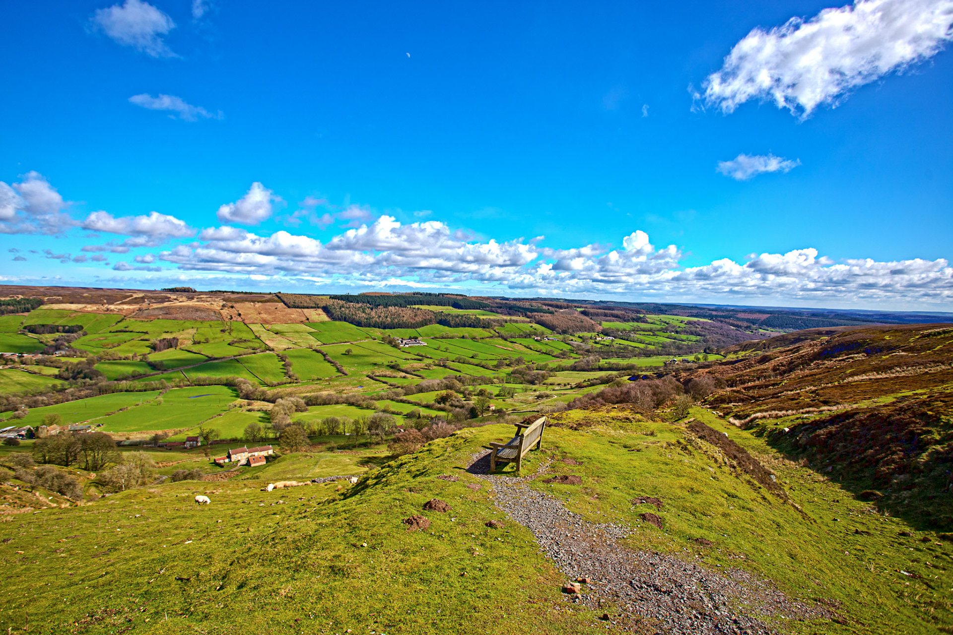 Chimney Bank - North York Moors 25 March 2026