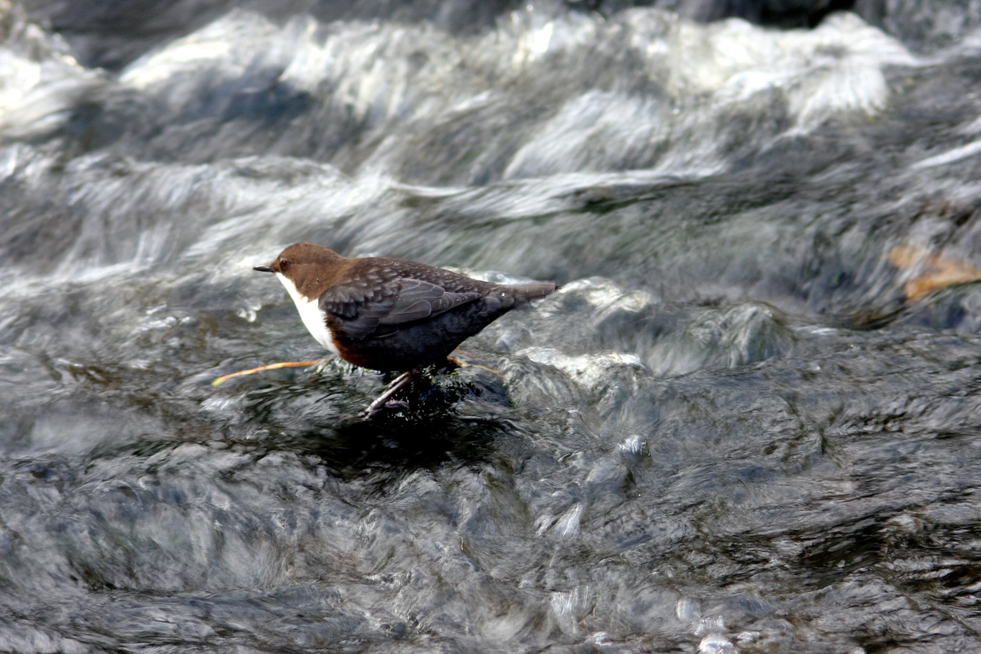 EdinburghPlease see my other Photographs at: http://www.jamespdeans.co.uk/