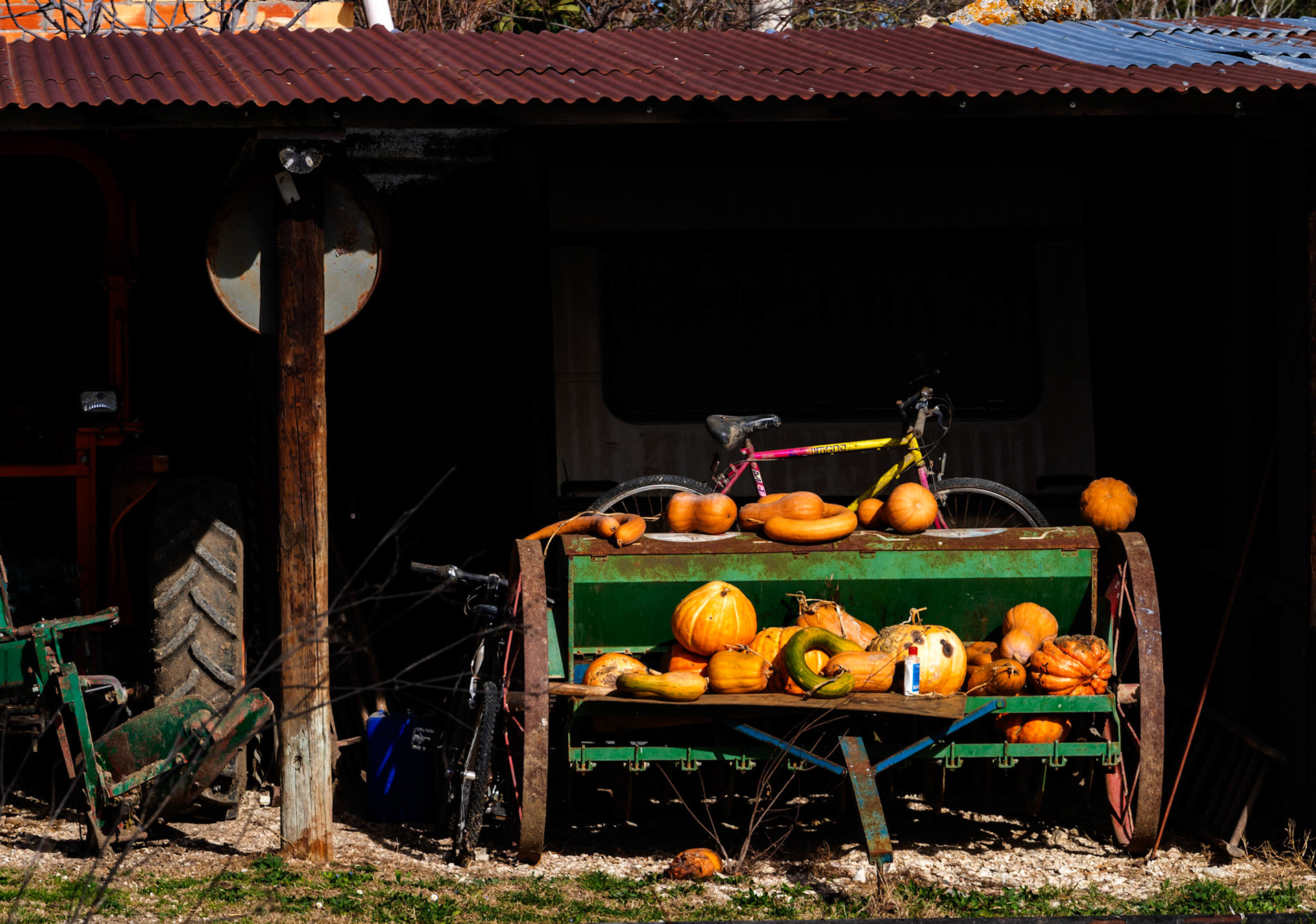 Urbisaglia 03 Feb 2020