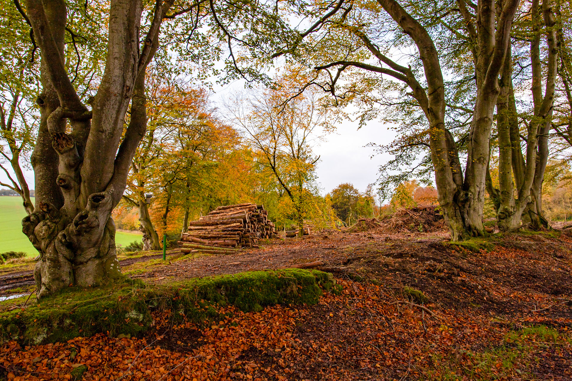 Morriston Borders 27 Oct 2022