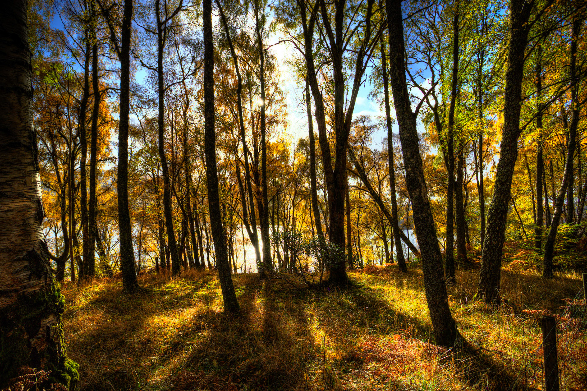 Loch Tummel. Autumnal Tour around Perthshire 19 October 2024