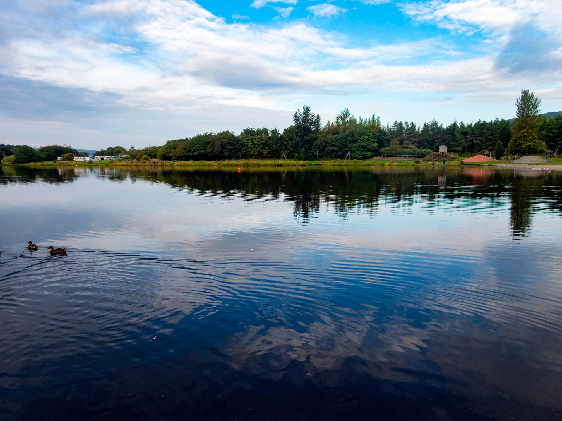 Swim at Lochore Meadows 28 Augist 2022