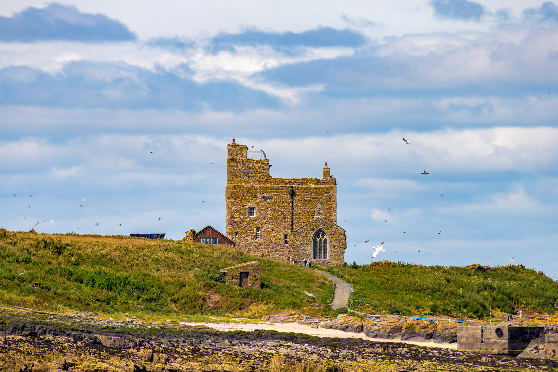 St Cuthbert's Chapel and Prior Castell's Tower - Farne Islands 03 July 2026