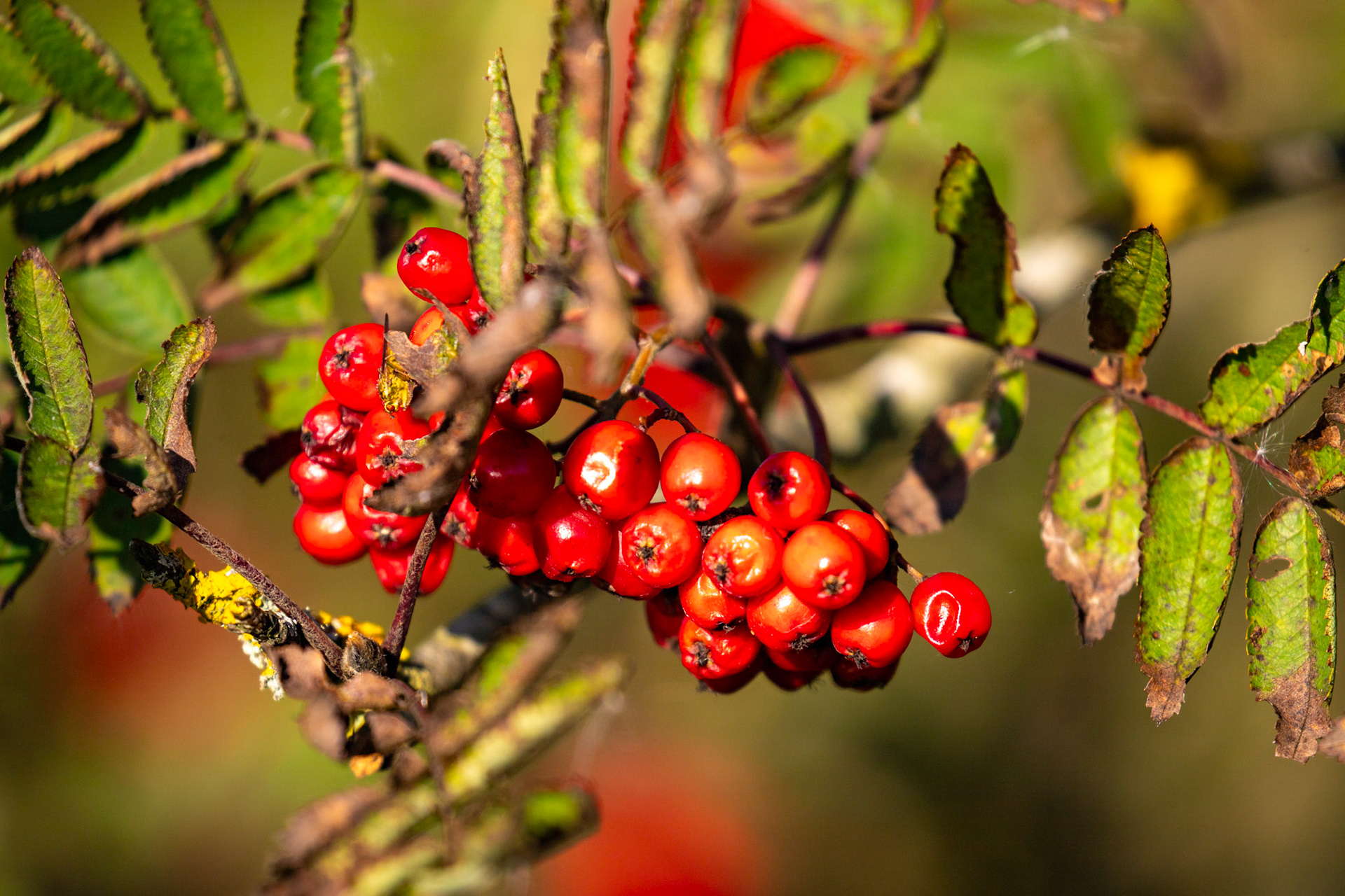 Harperrig Reservoir 17 September 2024