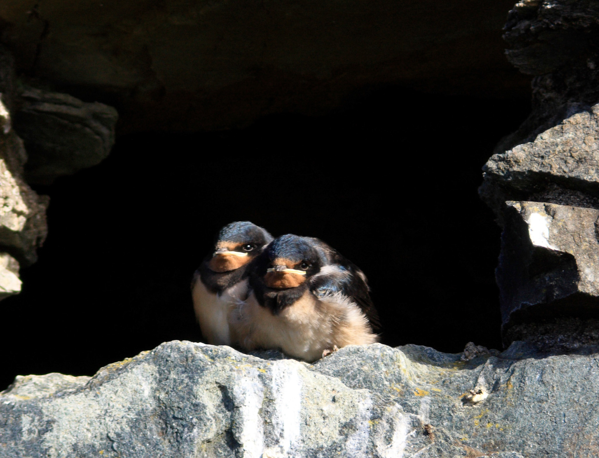 Kilchurn Castle Please see my other Photographs at: http://www.jamespdeans.co.uk/