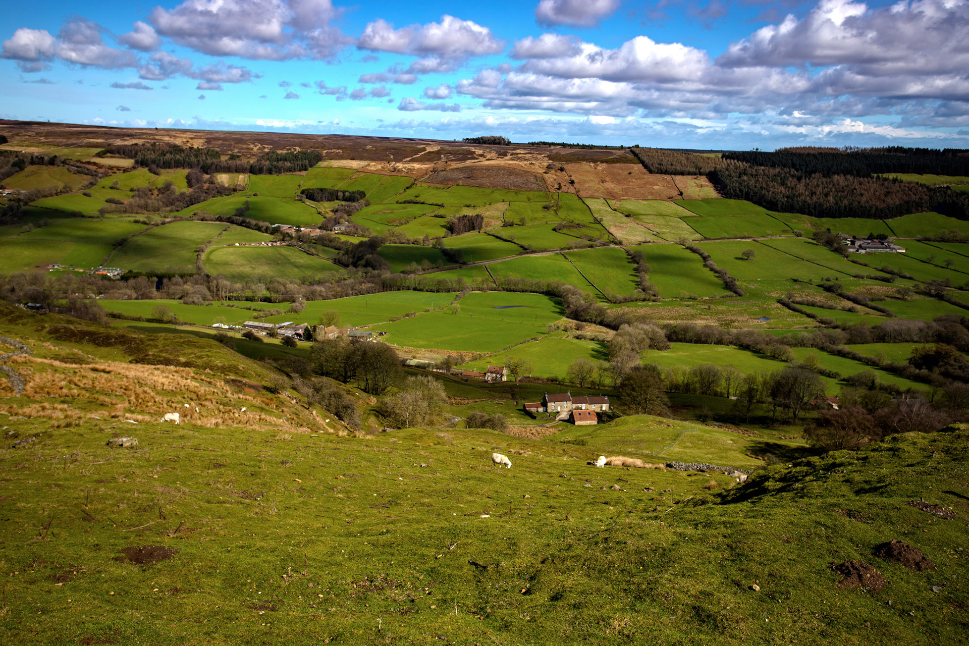 Chimney Bank - North York Moors 25 March 2026