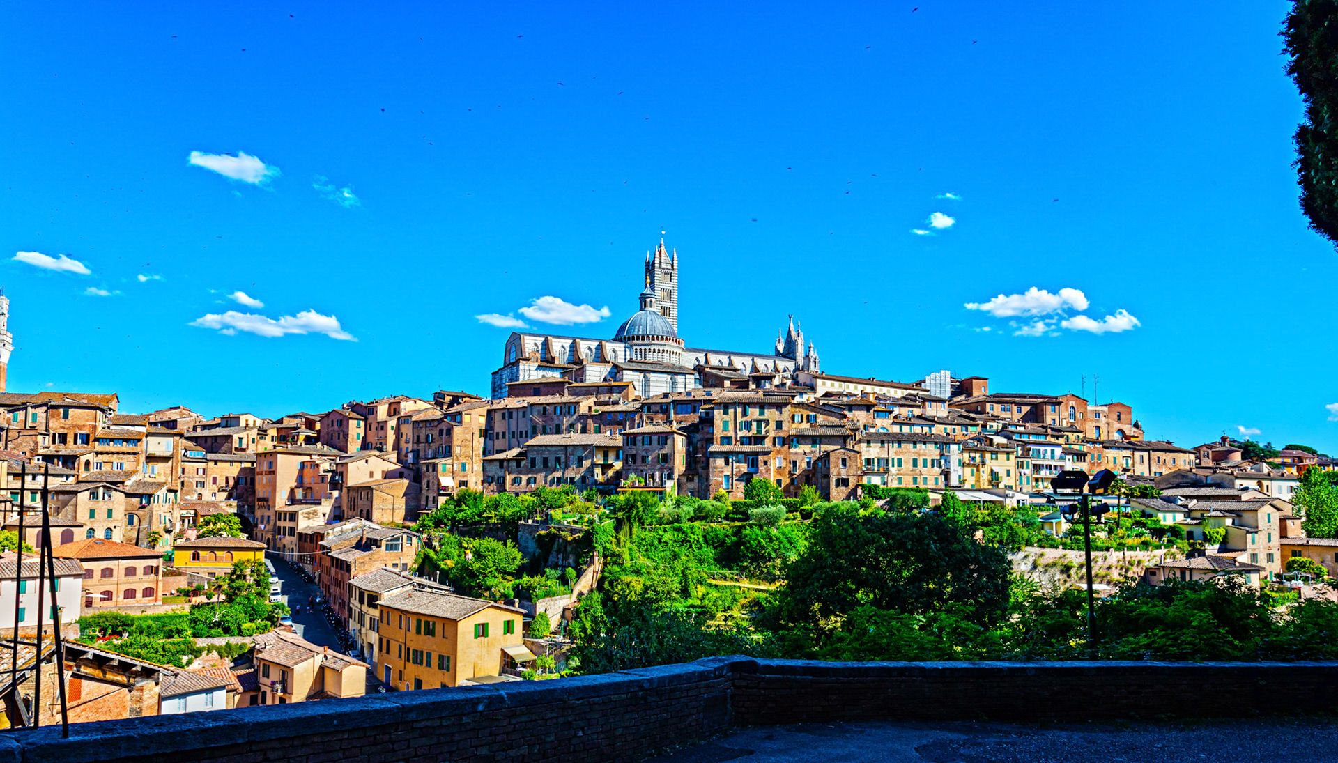 Duomo (Cathedral) on the Siena Skyline 17 June 2024