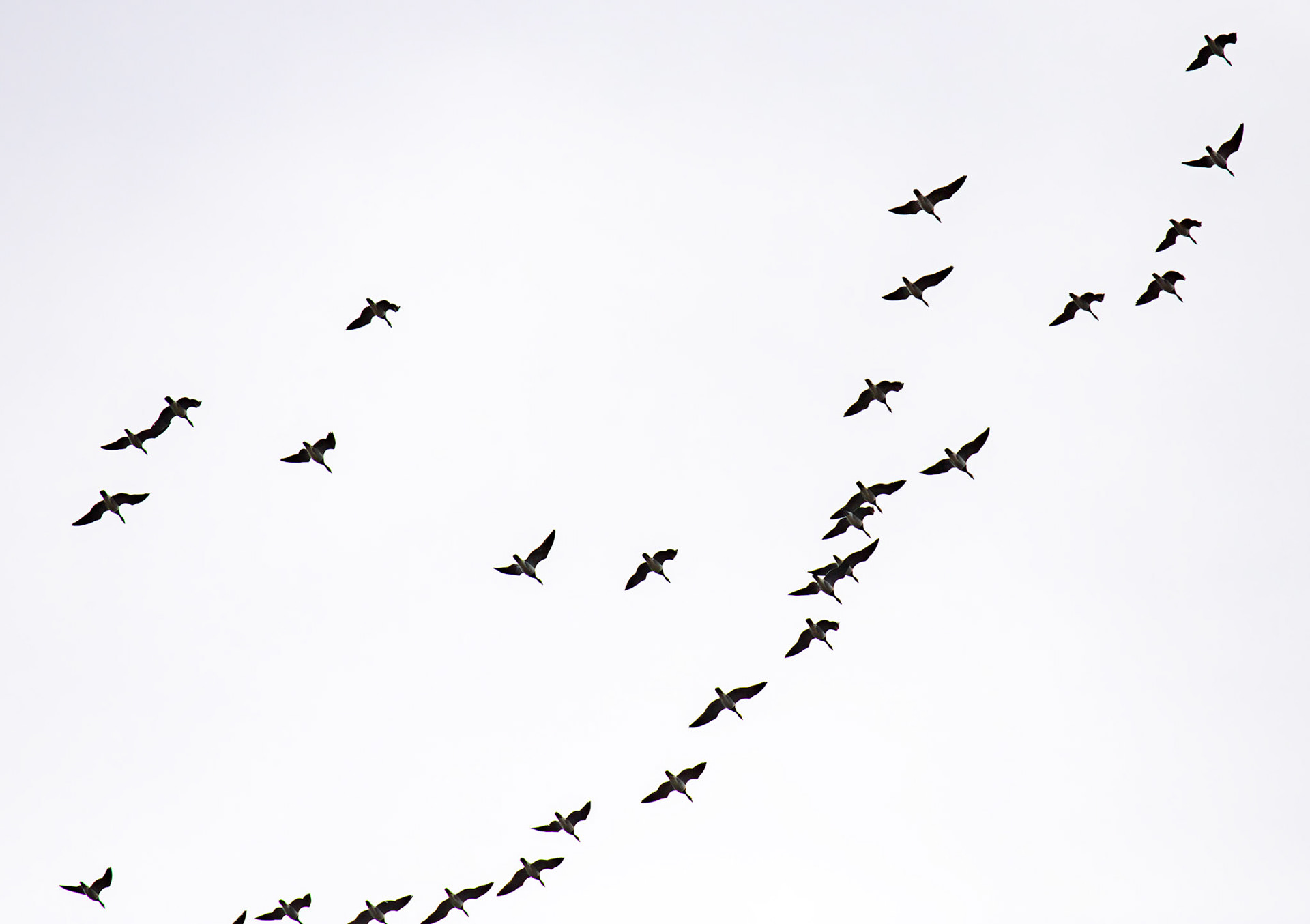 Bavelaw 24 Sept 2025