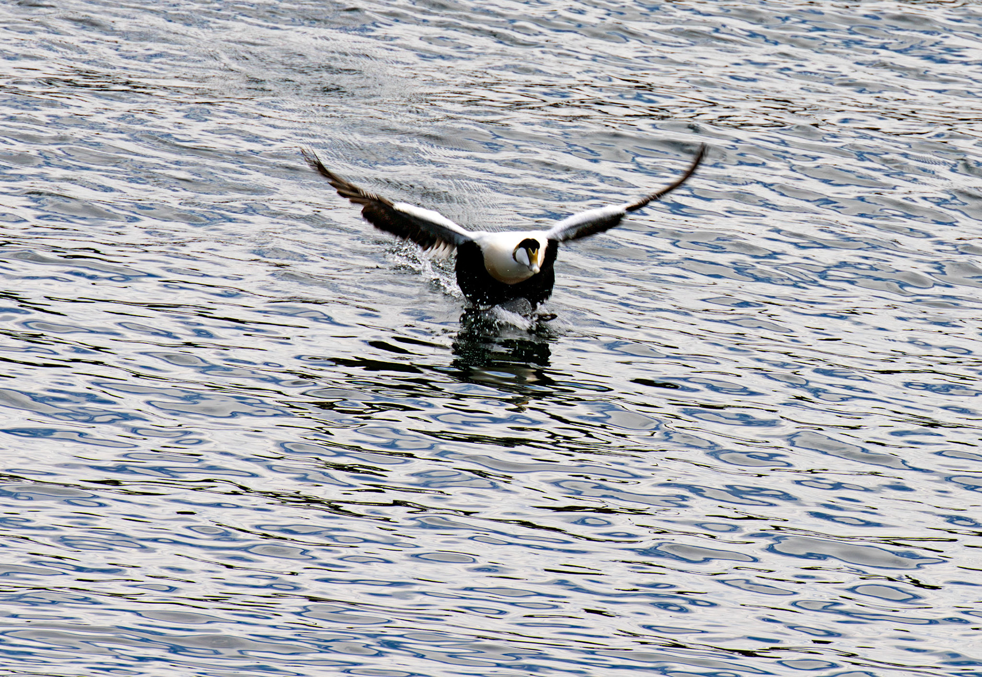 Kirkcaldy Harbour 23 May 2026