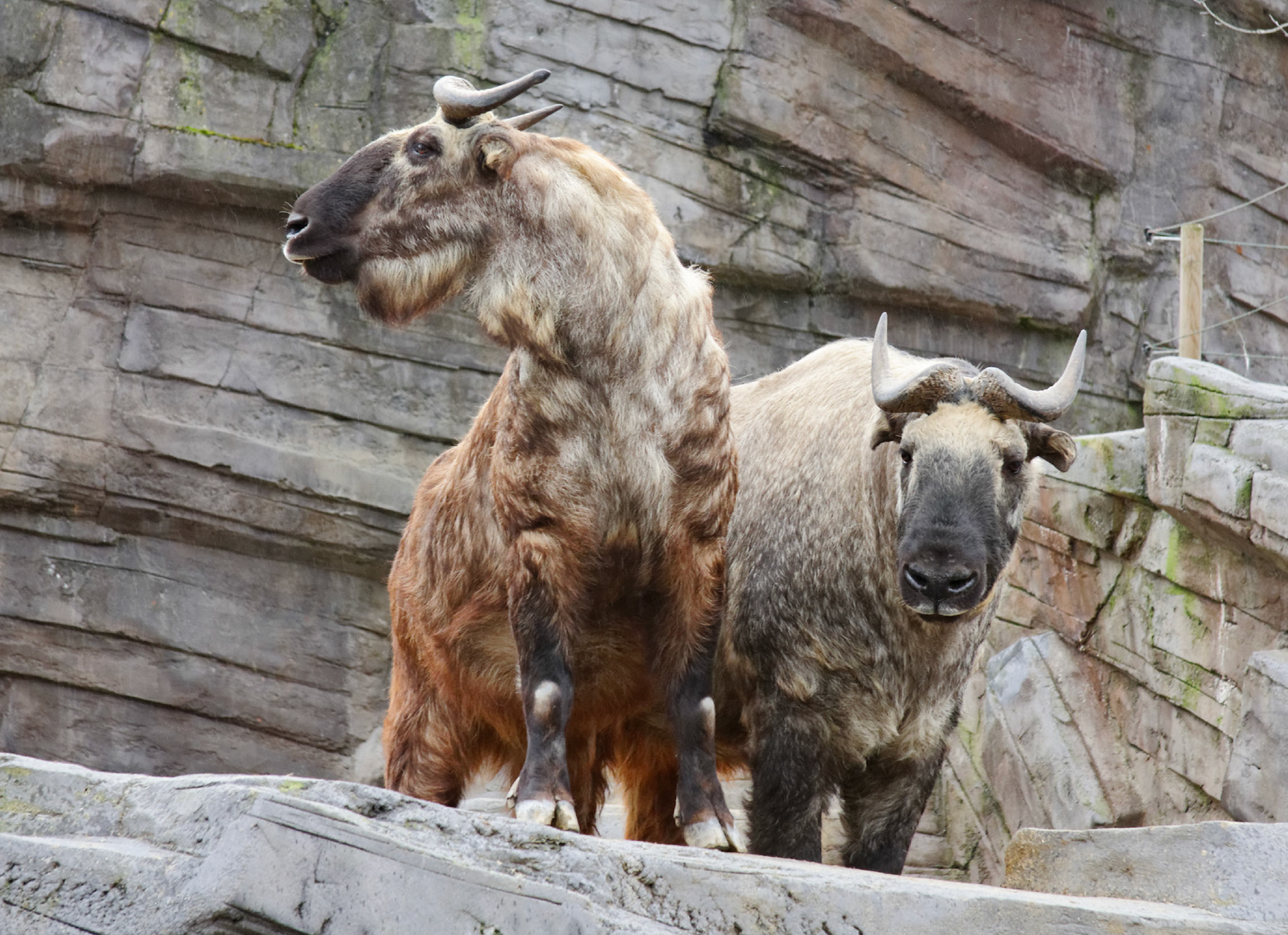 AntwerpPlease see my other Photographs at: http://www.jamespdeans.co.uk/