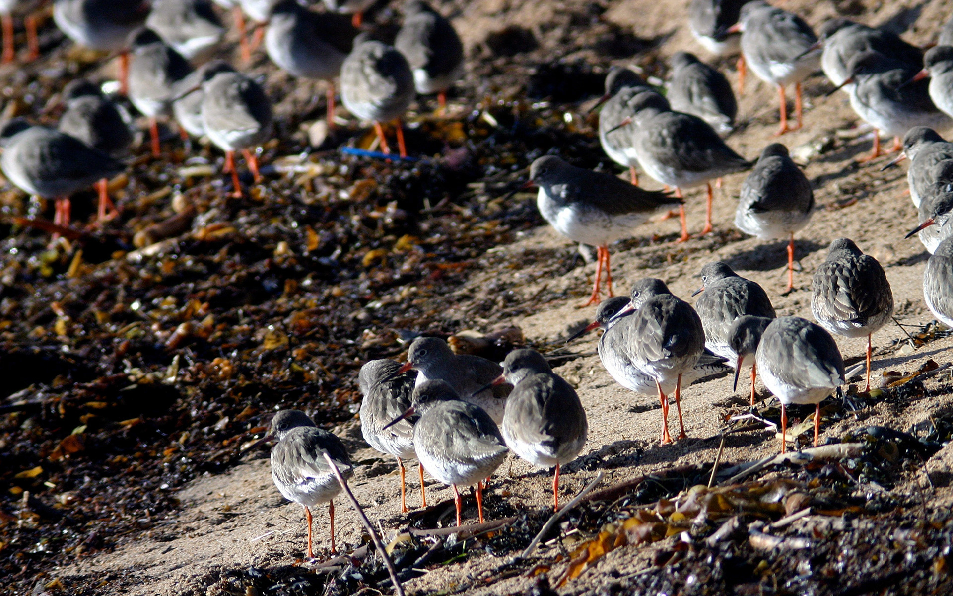 AnstrutherPlease see my other Photographs at: http://www.jamespdeans.co.uk/