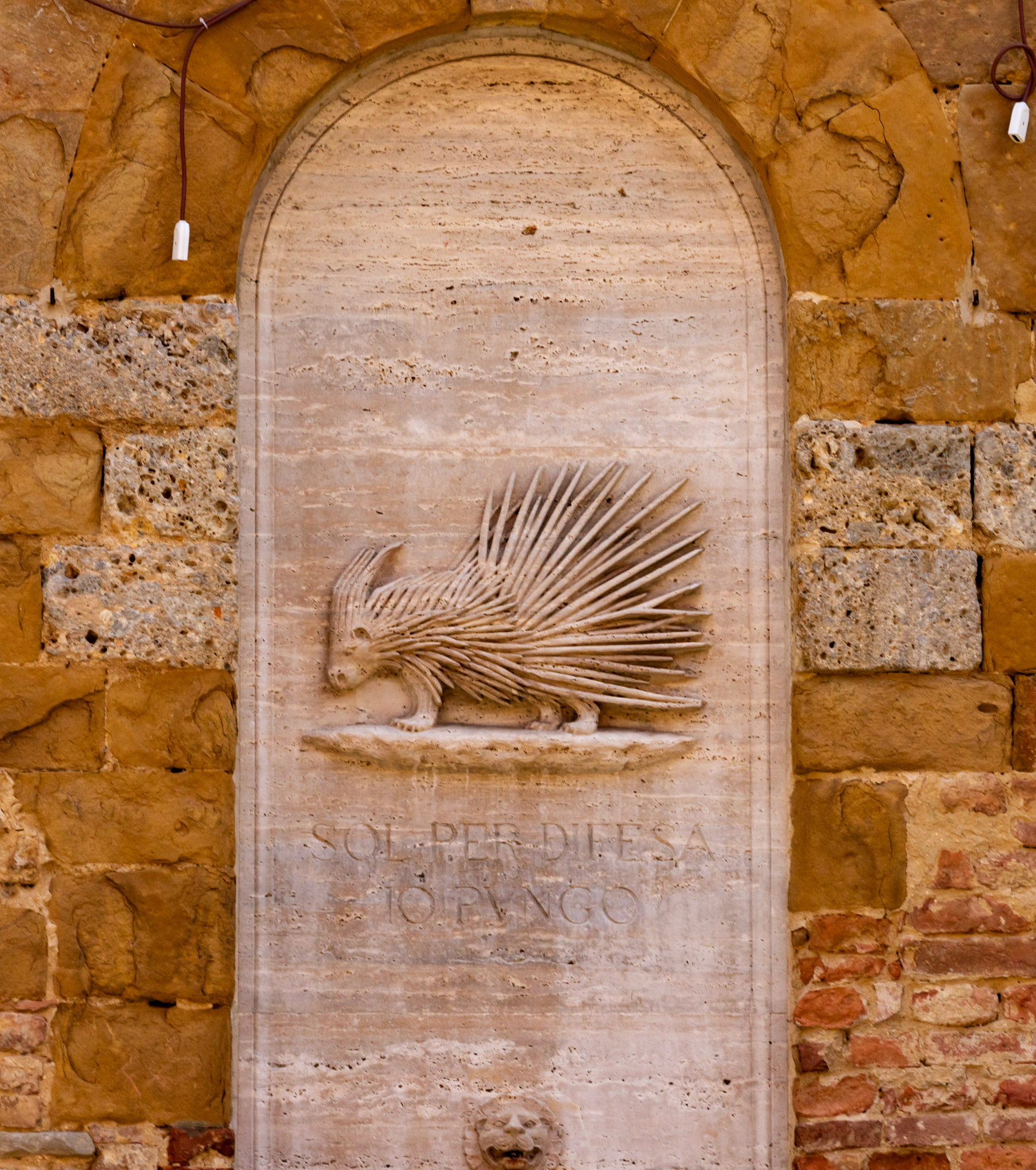 Porcupine - Siena 26 June 2024