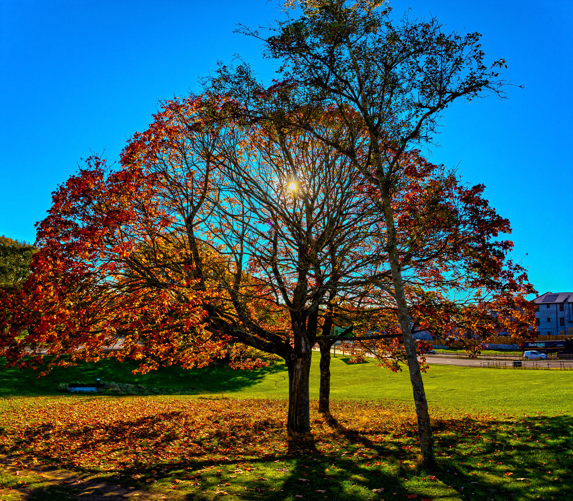 Dundee 15 October 2025