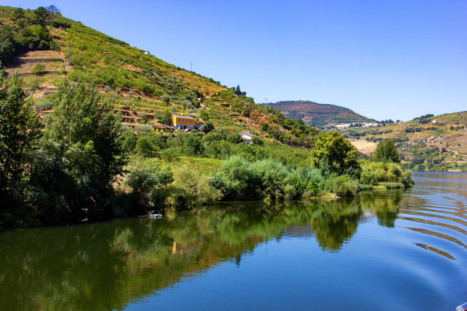 Douro cruise 21 August 2026