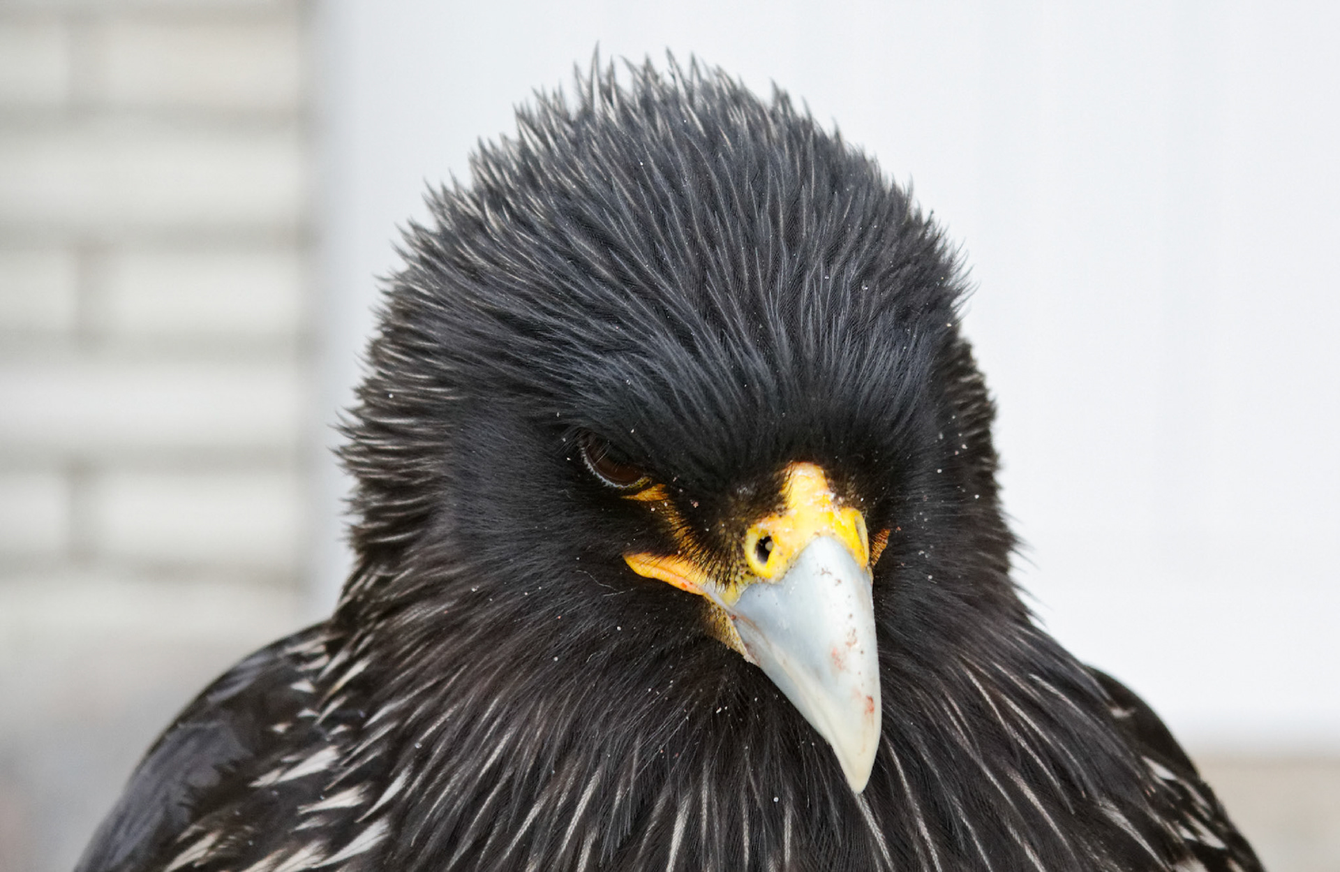 AntwerpPlease see my other Photographs at: http://www.jamespdeans.co.uk/