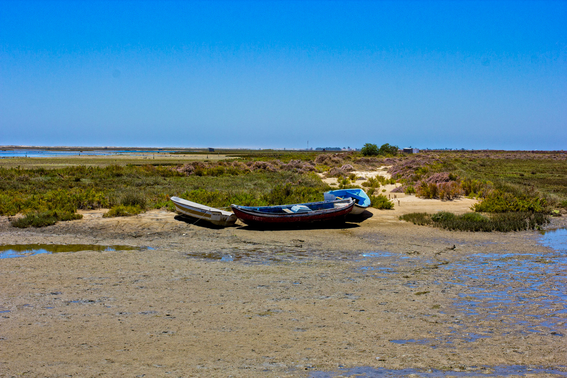 Boats in Fuseta, I really like the purple broom like plant that grows all around the Eastern Algarve.