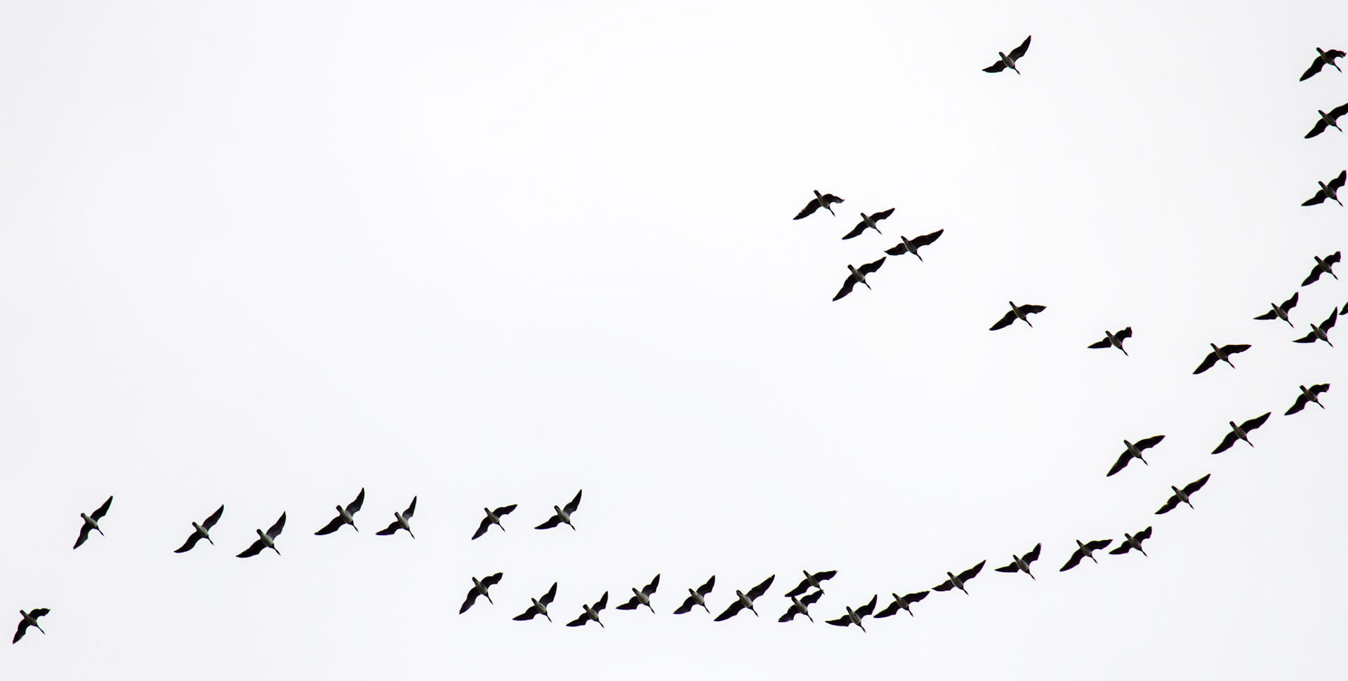 Bavelaw 24 Sept 2025