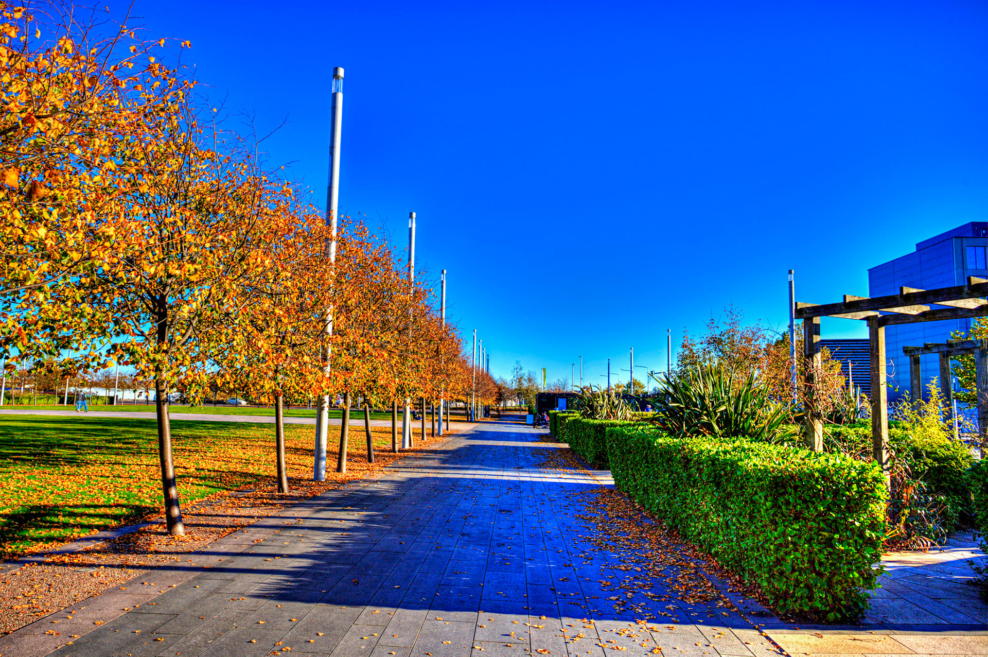 Dundee 15 October 2025