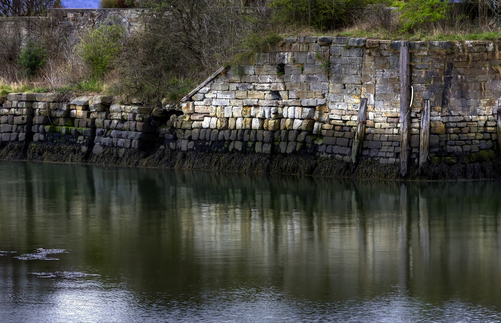 Limekilns - A bit of the harbour along at the lime kilns 16 April 2016.There's more Photographs of Fife in my more general Scottish folder at: http://www.jamespdeans.co.uk/p350570900
