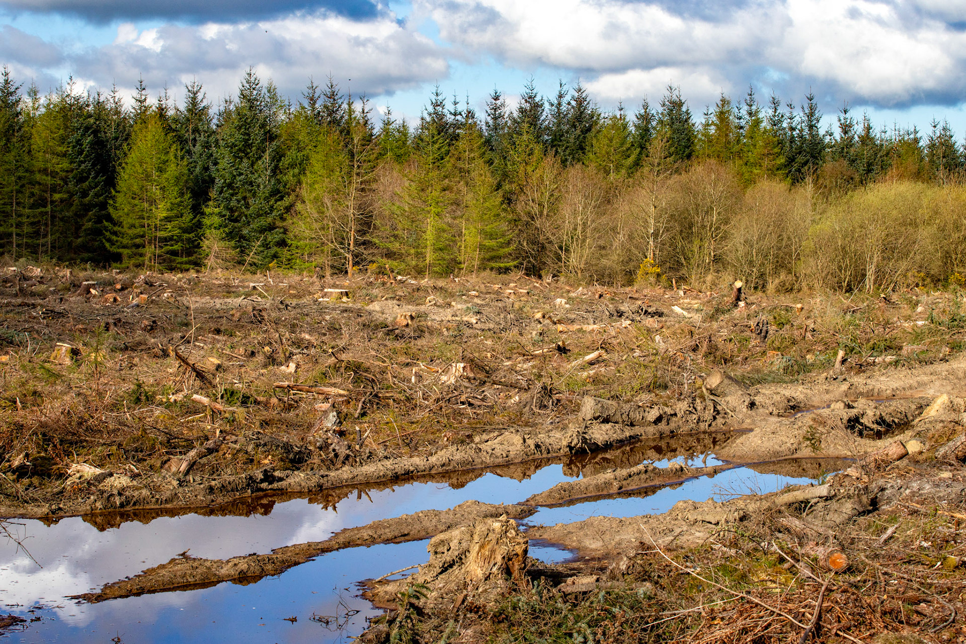 Selm Muir 26 April 2024