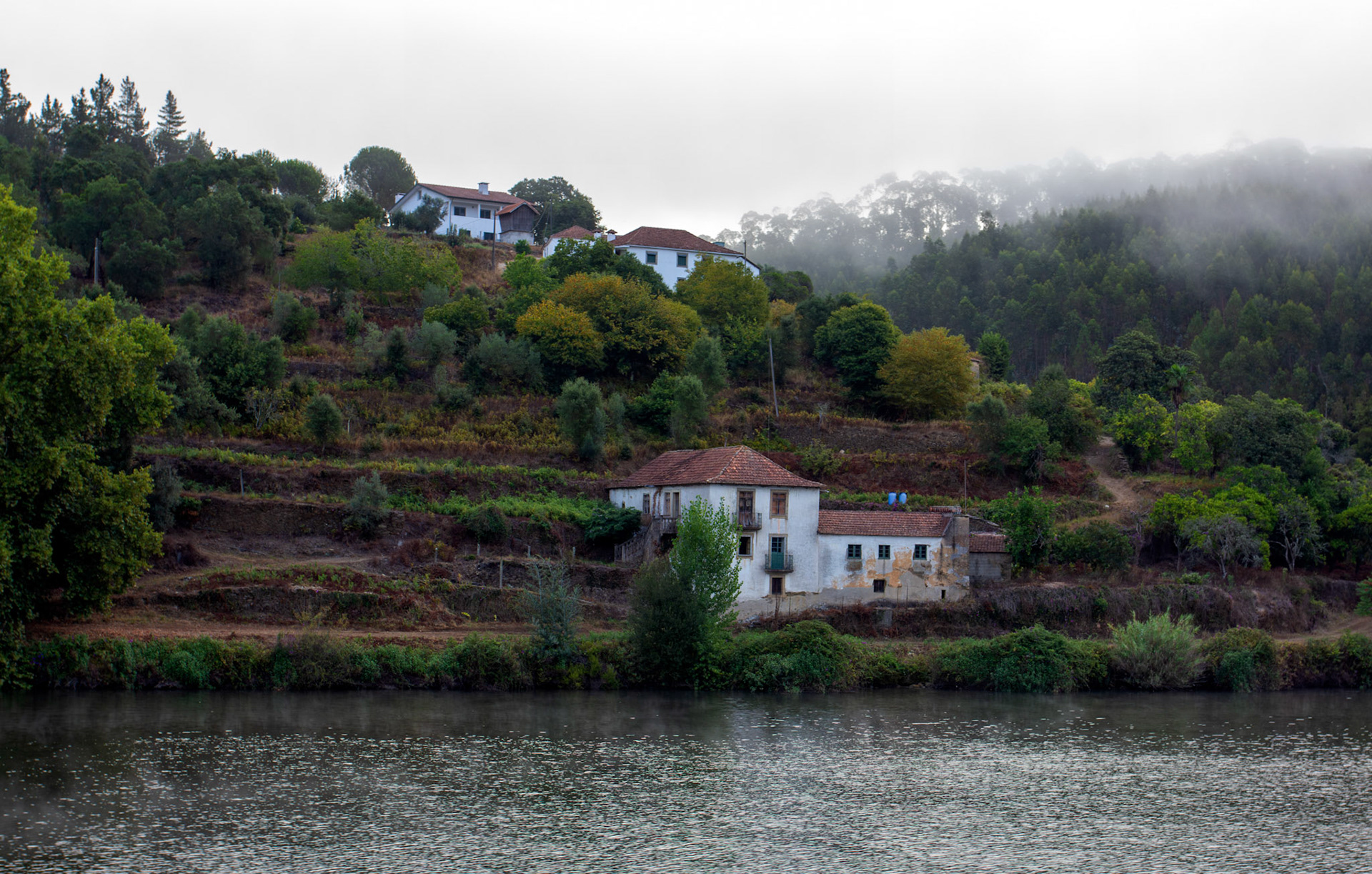 Douro cruise 21 August 2026