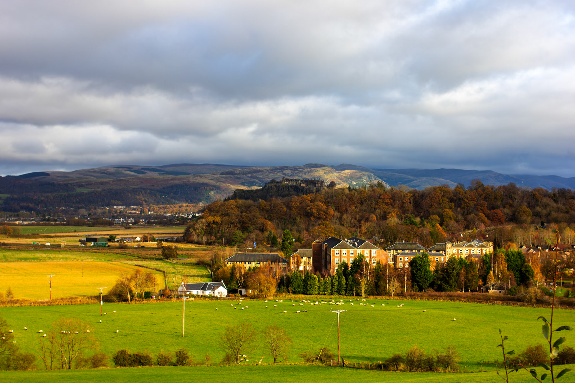 Flanders Moss 12 November 2025